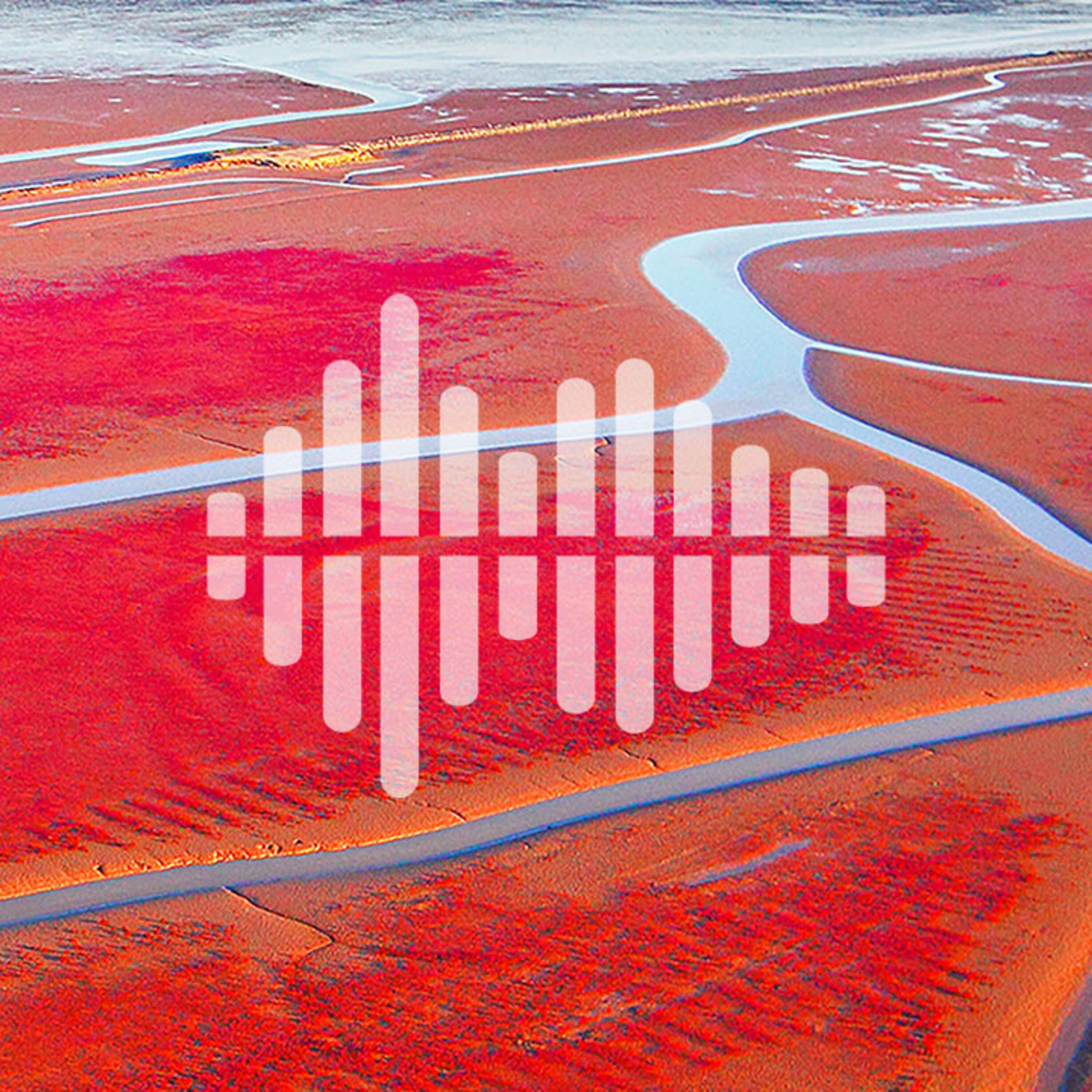 Building big dream machines, and self-organizing landscapes