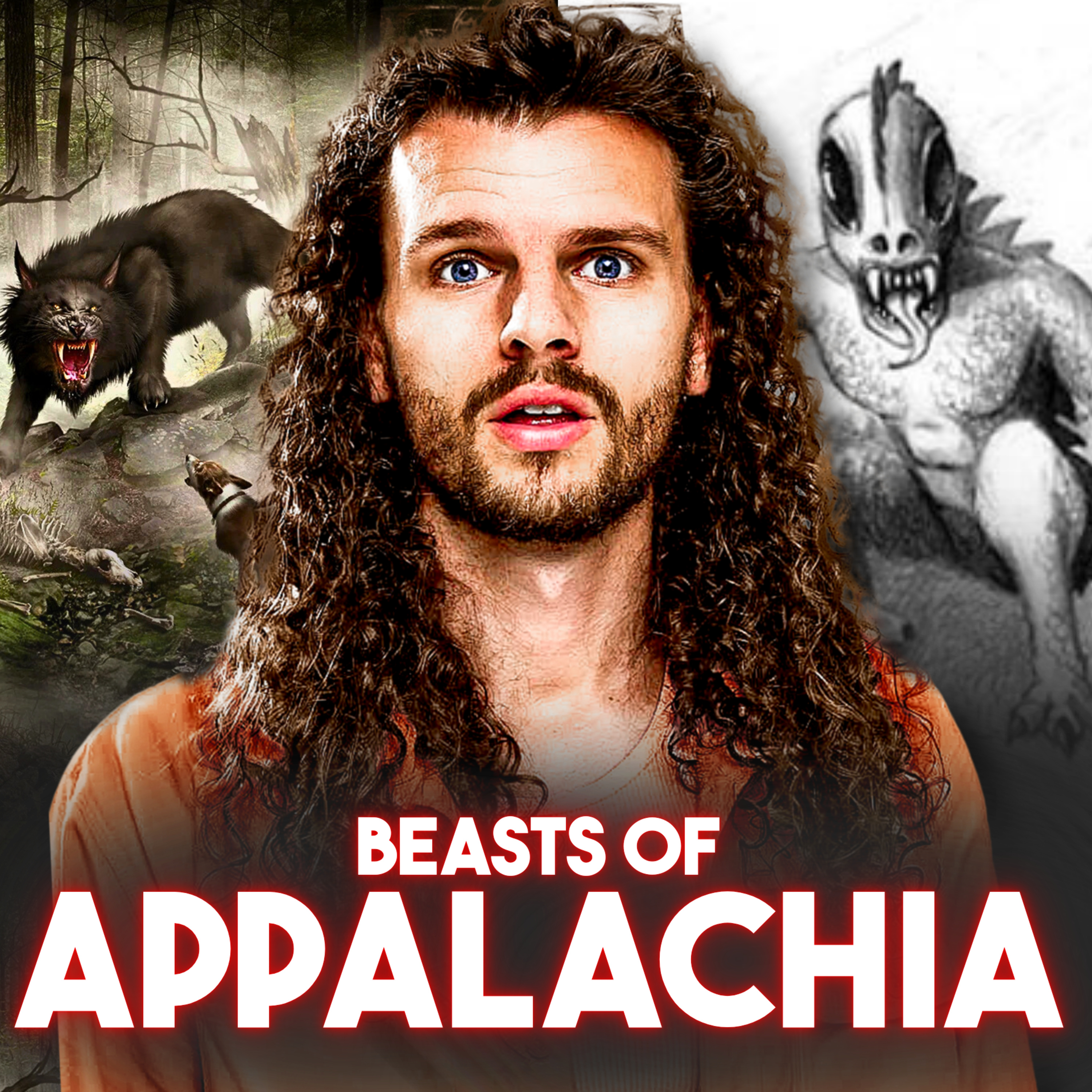 Unsolved Mysteries of Appalachia: Vanished & Never Found episode artwork