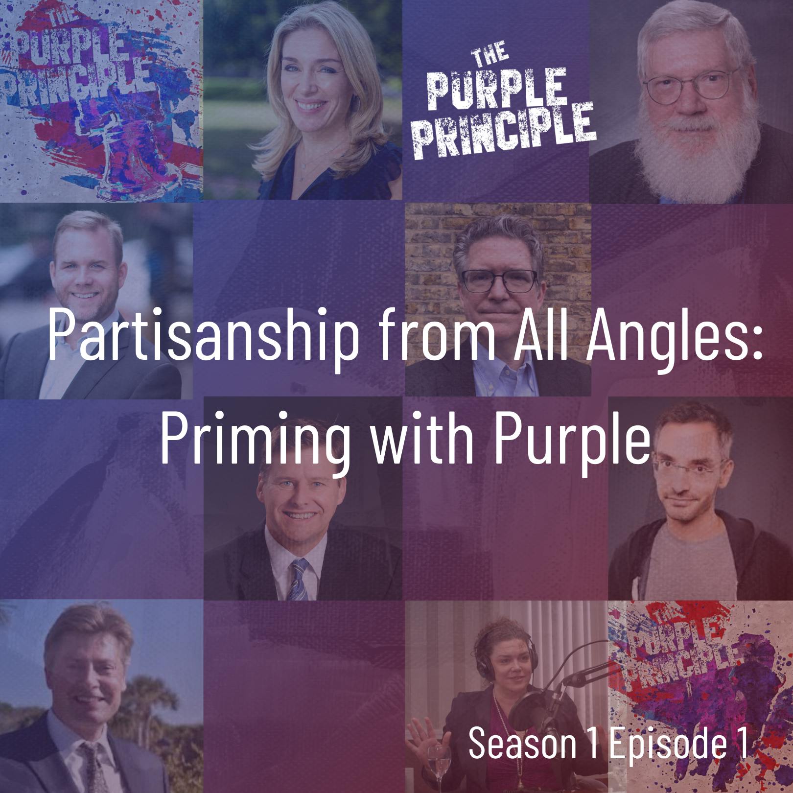 Partisanship from All Angles: Priming with Purple