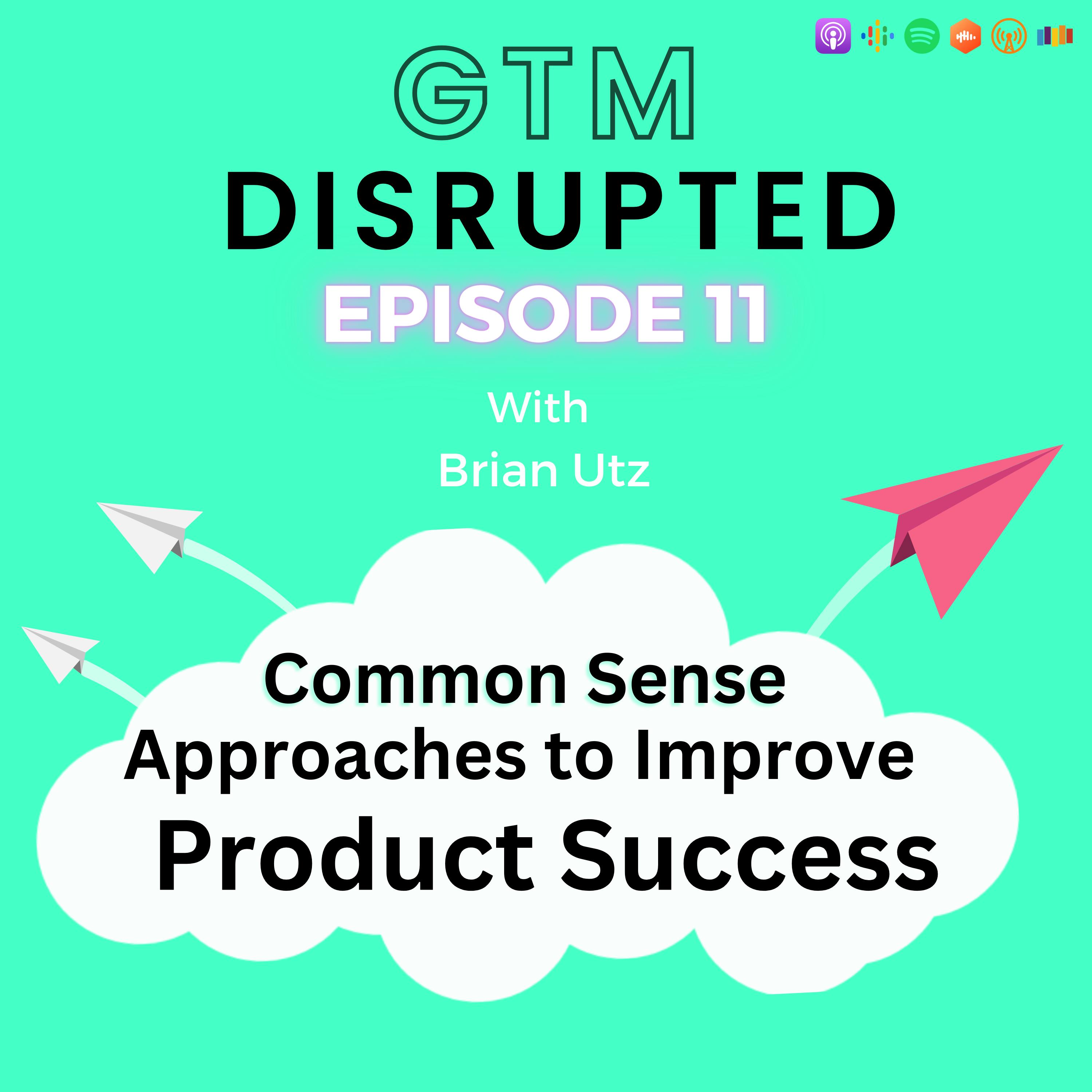 Common Sense Approaches to Improve Product Success