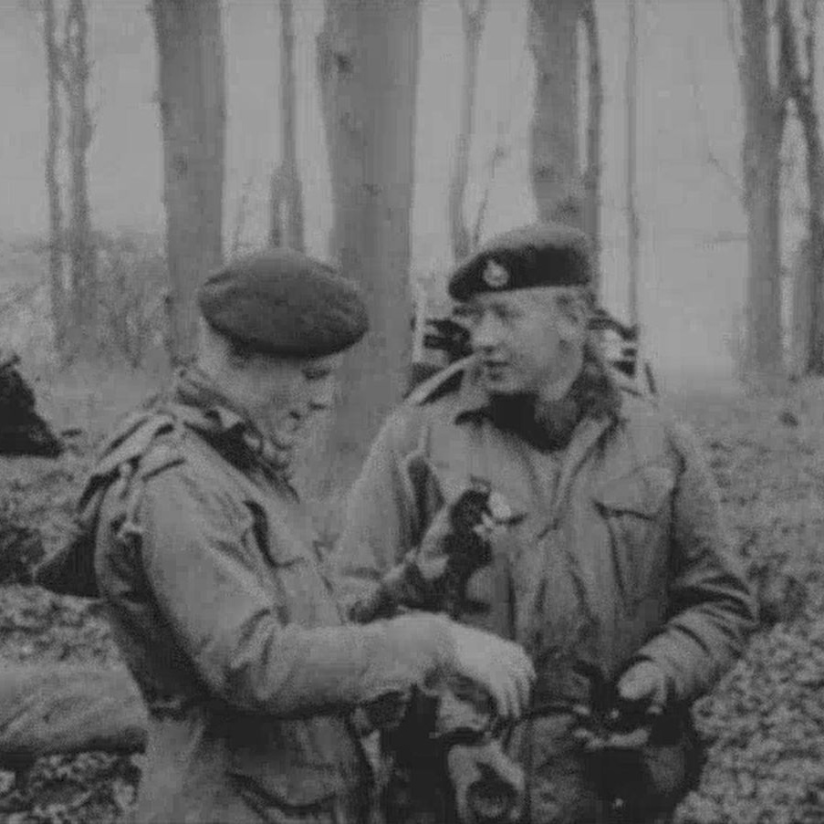 Gli esperimenti dell'esercito inglese con l'LSD - AperiStoria #312