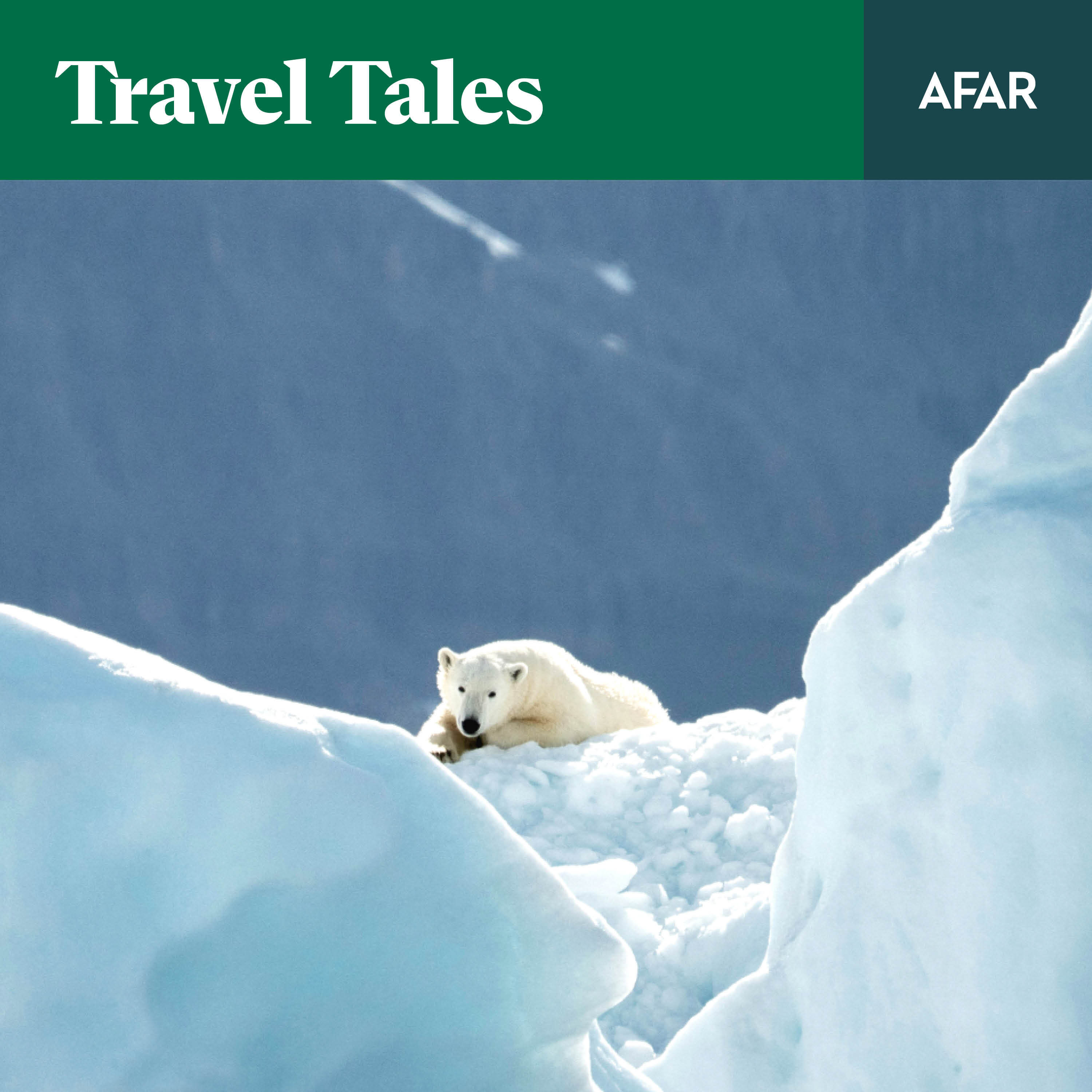 Replay: Why a Wildlife Biologist Traded Mice for the World's Most Dangerous Predator