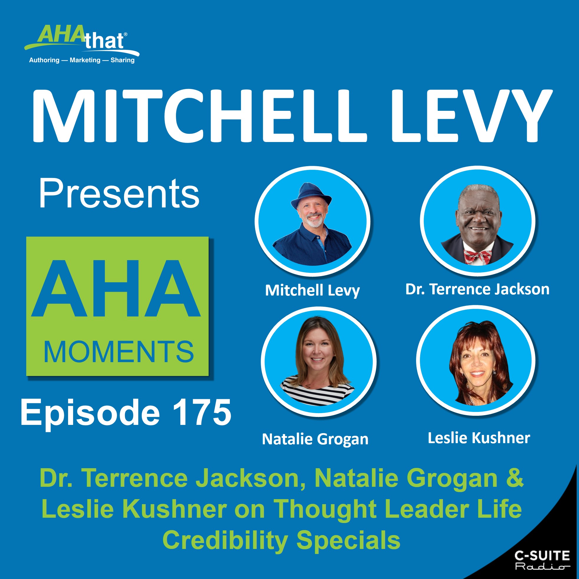 Mitchell Levy Presents AHA Moments