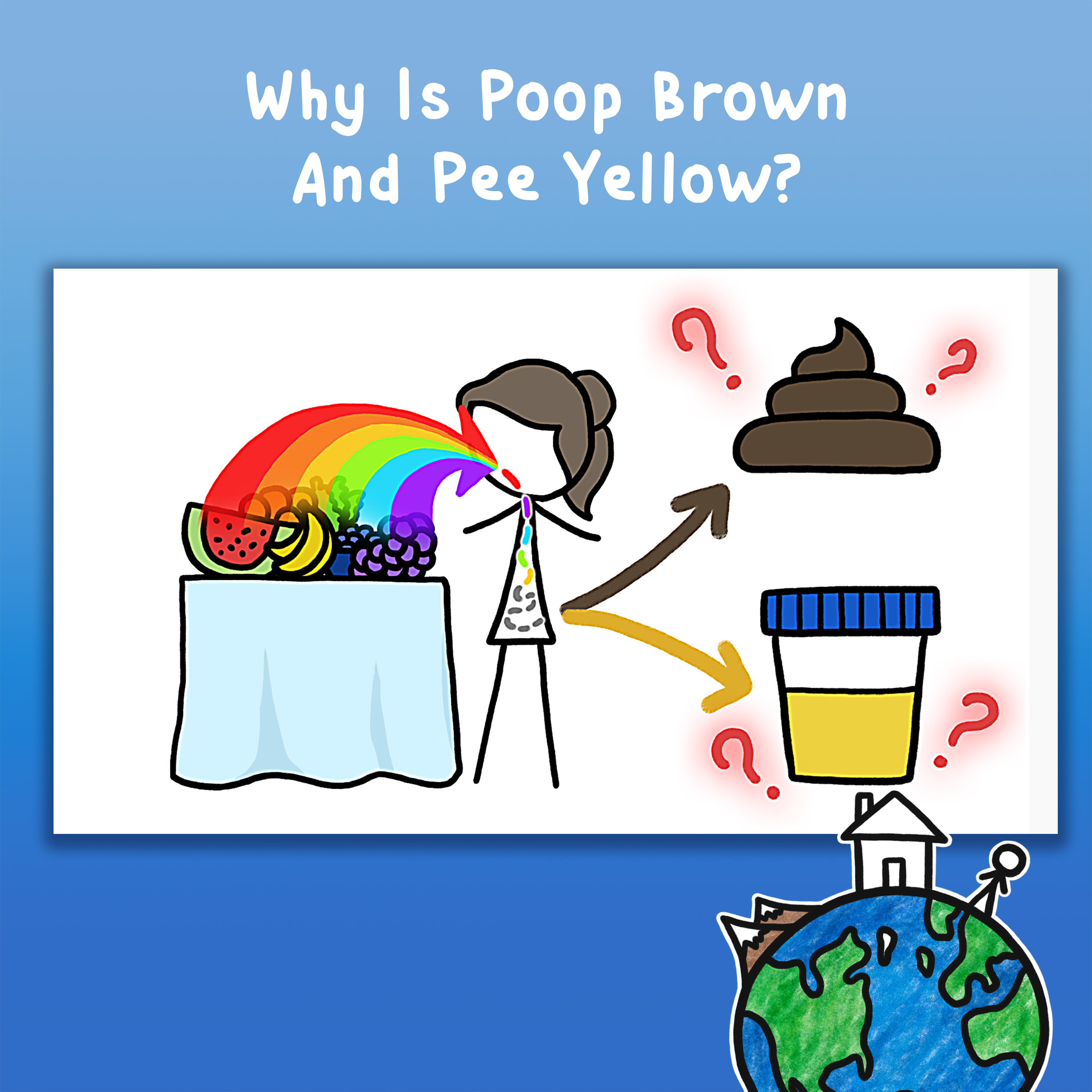 Why Is Poop Brown And Pee Yellow?