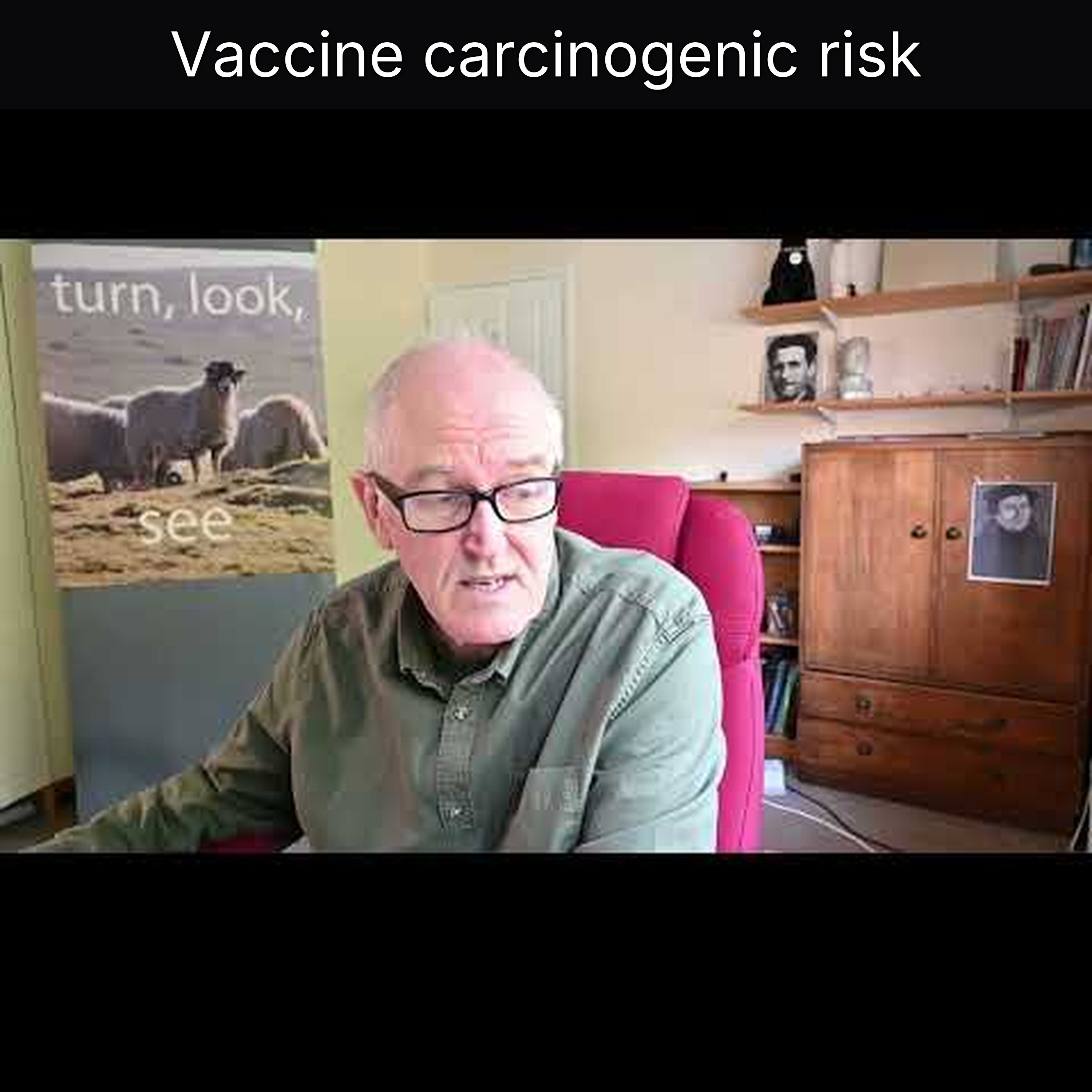 Vaccine carcinogenic risk episode artwork
