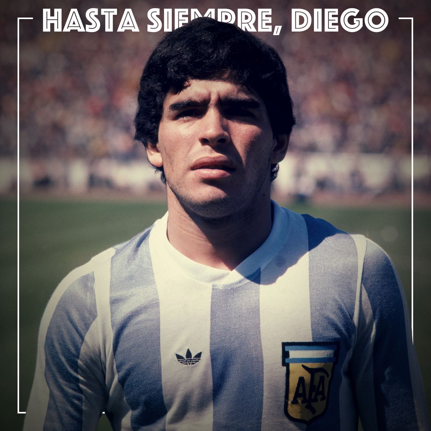 And You Have to Say That Is Magnificent