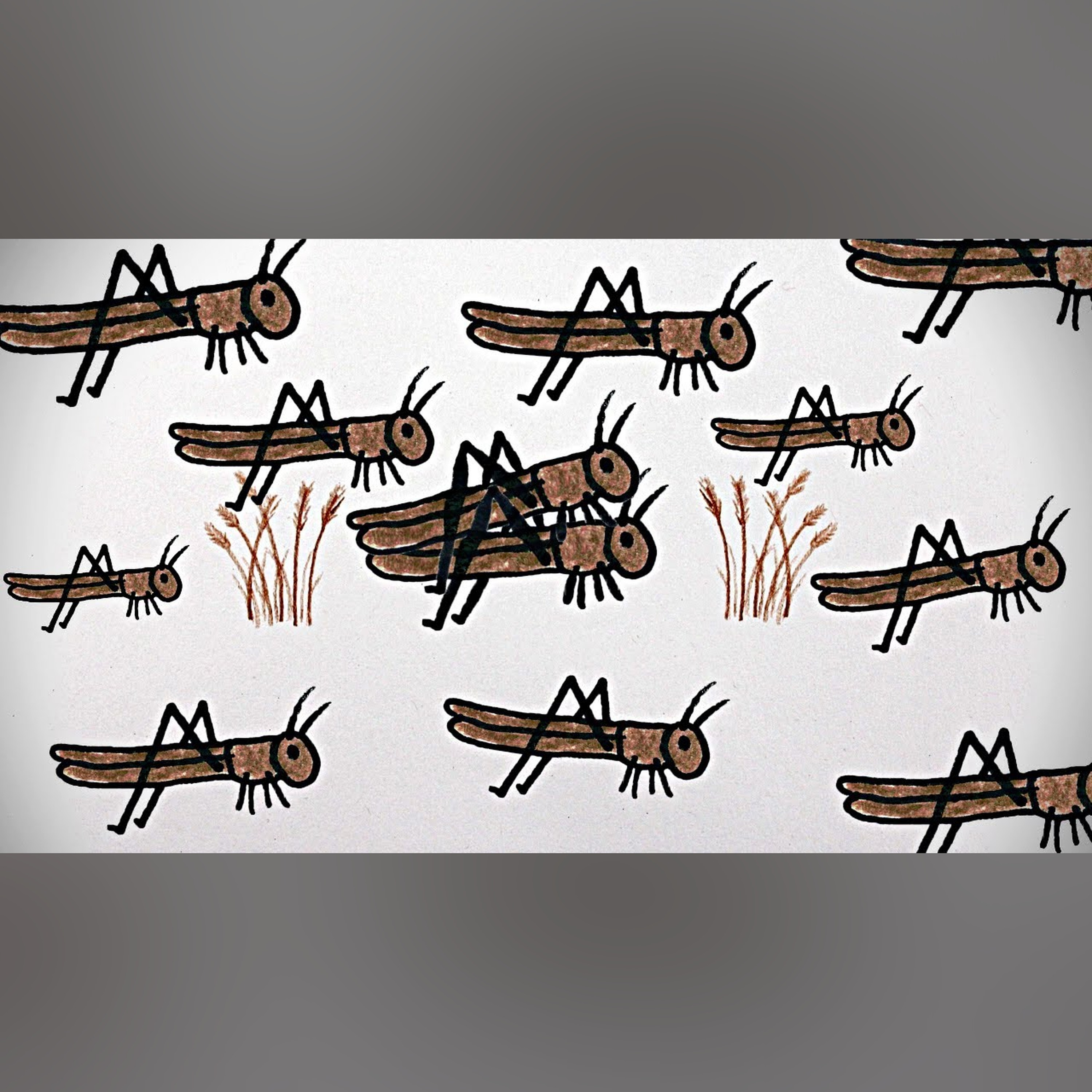 The Great North American Locust Plague