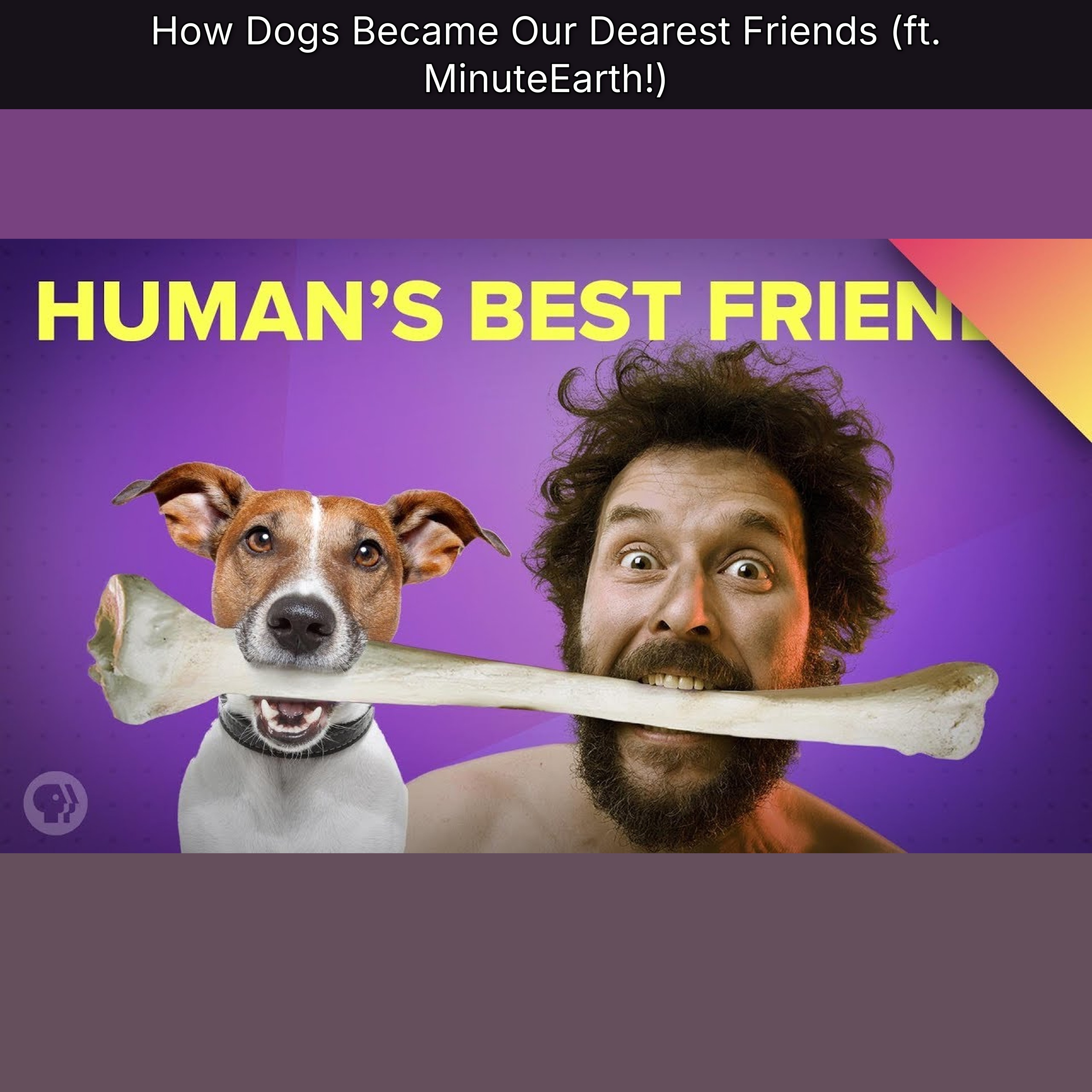 How Dogs Became Our Dearest Friends (ft. MinuteEarth!) episode artwork