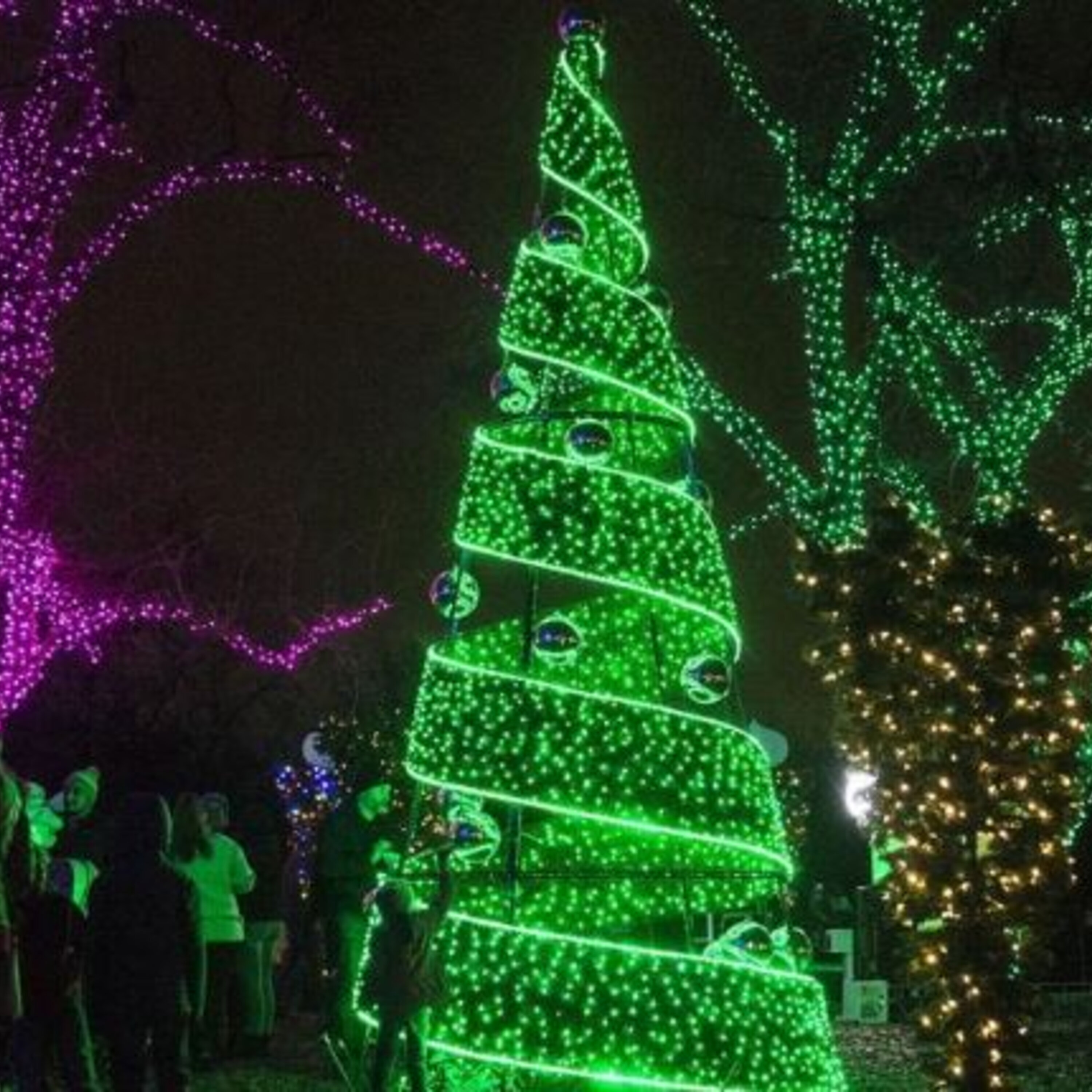 Kristin Finan on what is new with Trail of Lights this year episode artwork