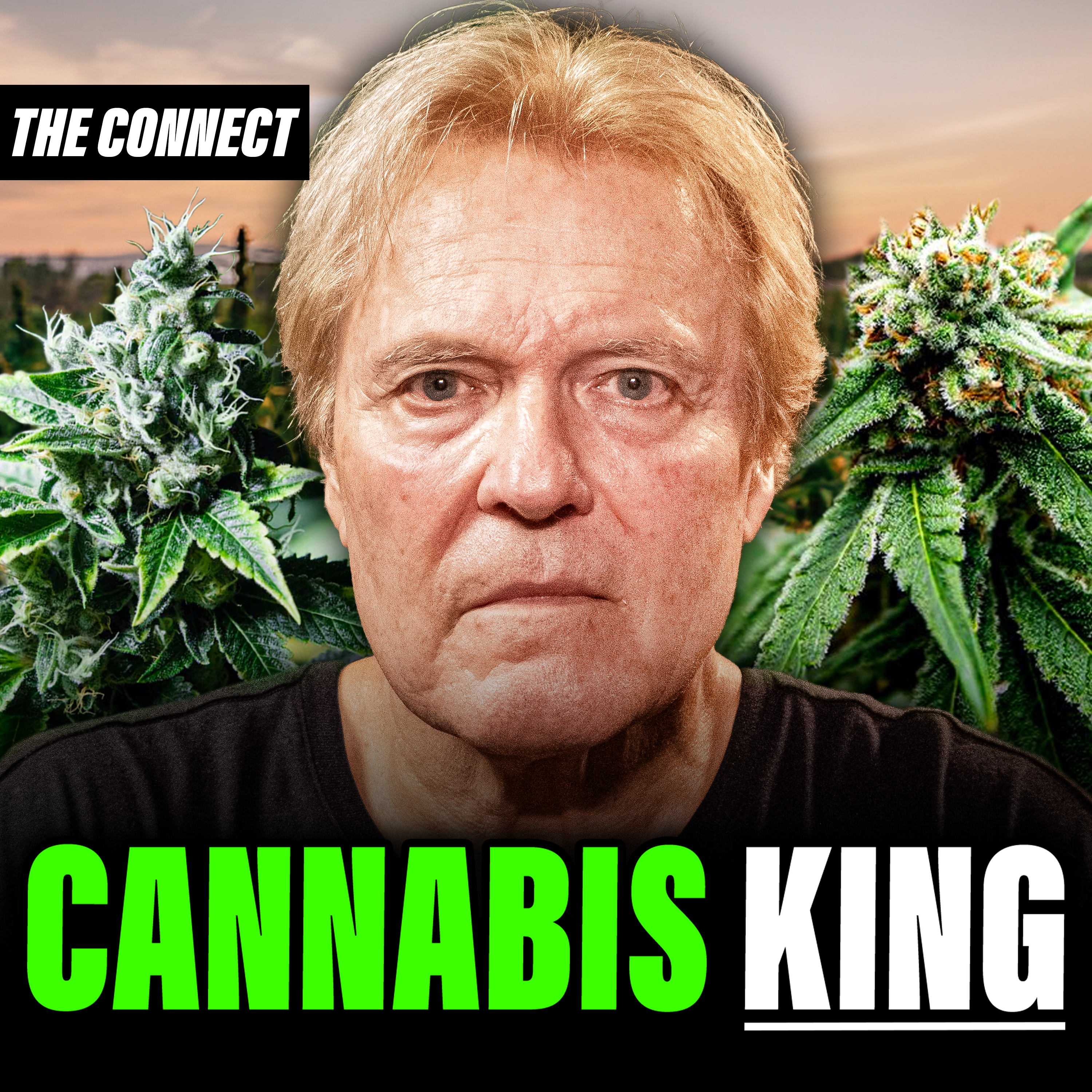 How A Career Trafficker Moved TONS Of Pot & Escaped The Law For 40 Years: Sitdown W The Reefer King