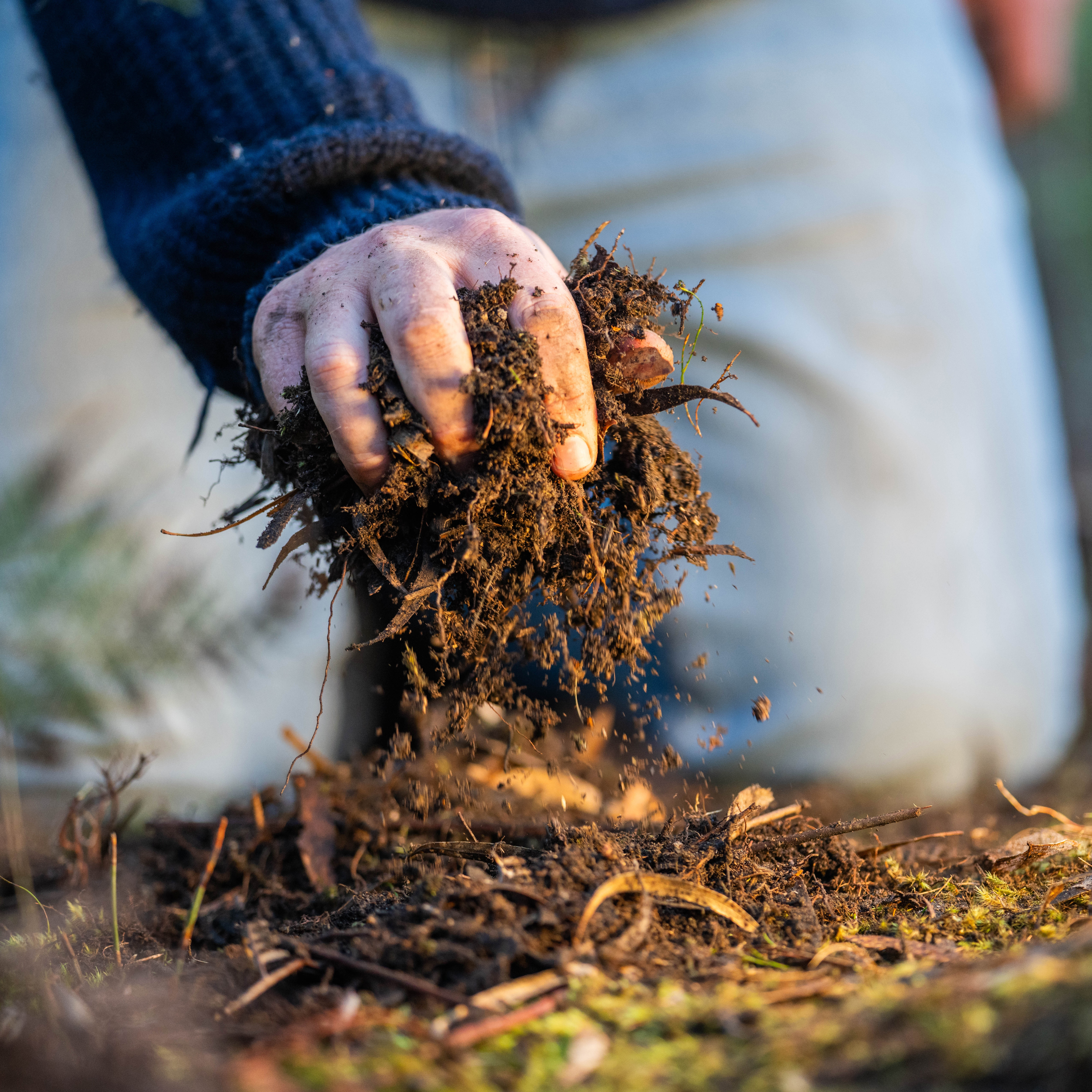 Vice to Virtue: From Carbon Crisis to Carbon Farming