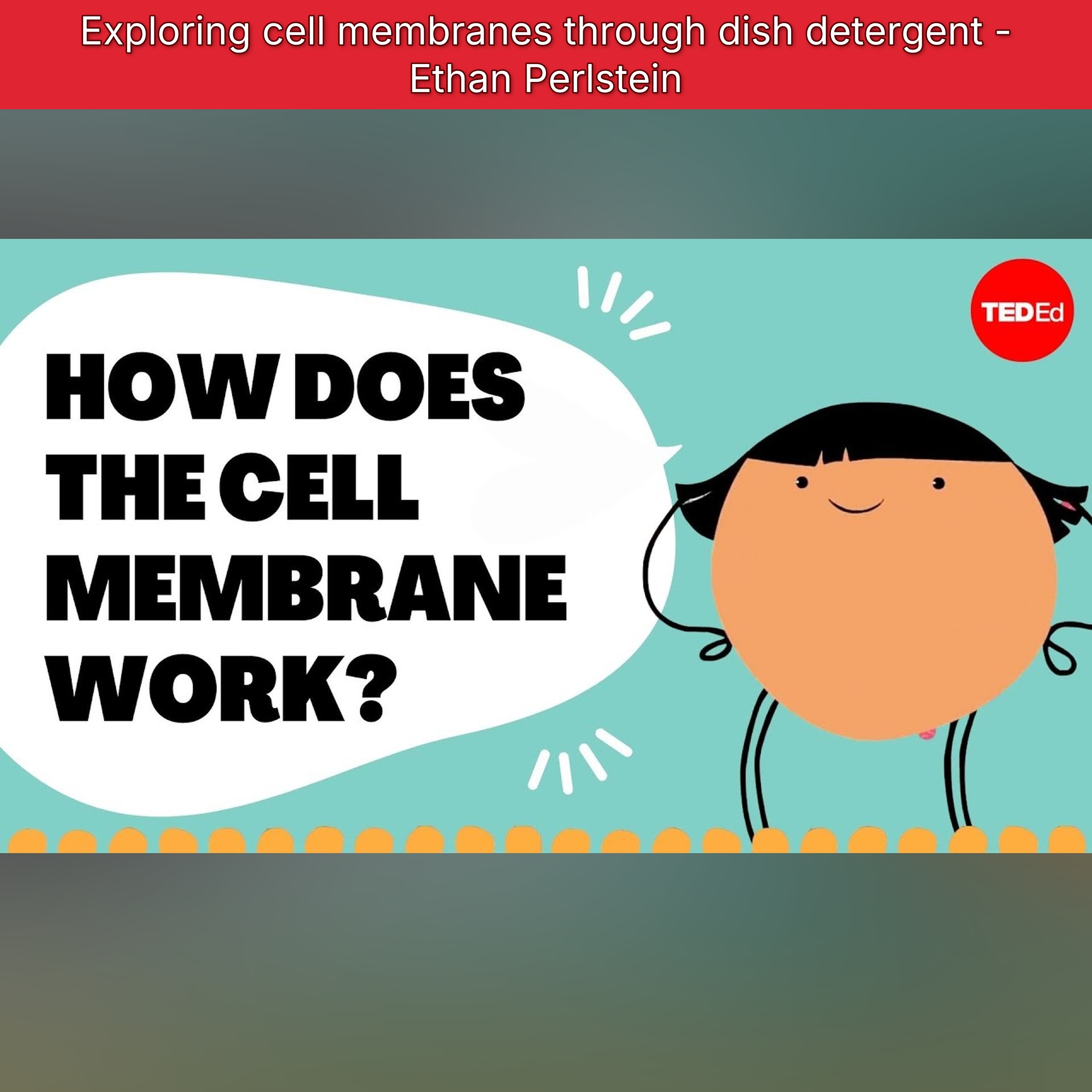Exploring cell membranes through dish detergent - Ethan Perlstein episode artwork
