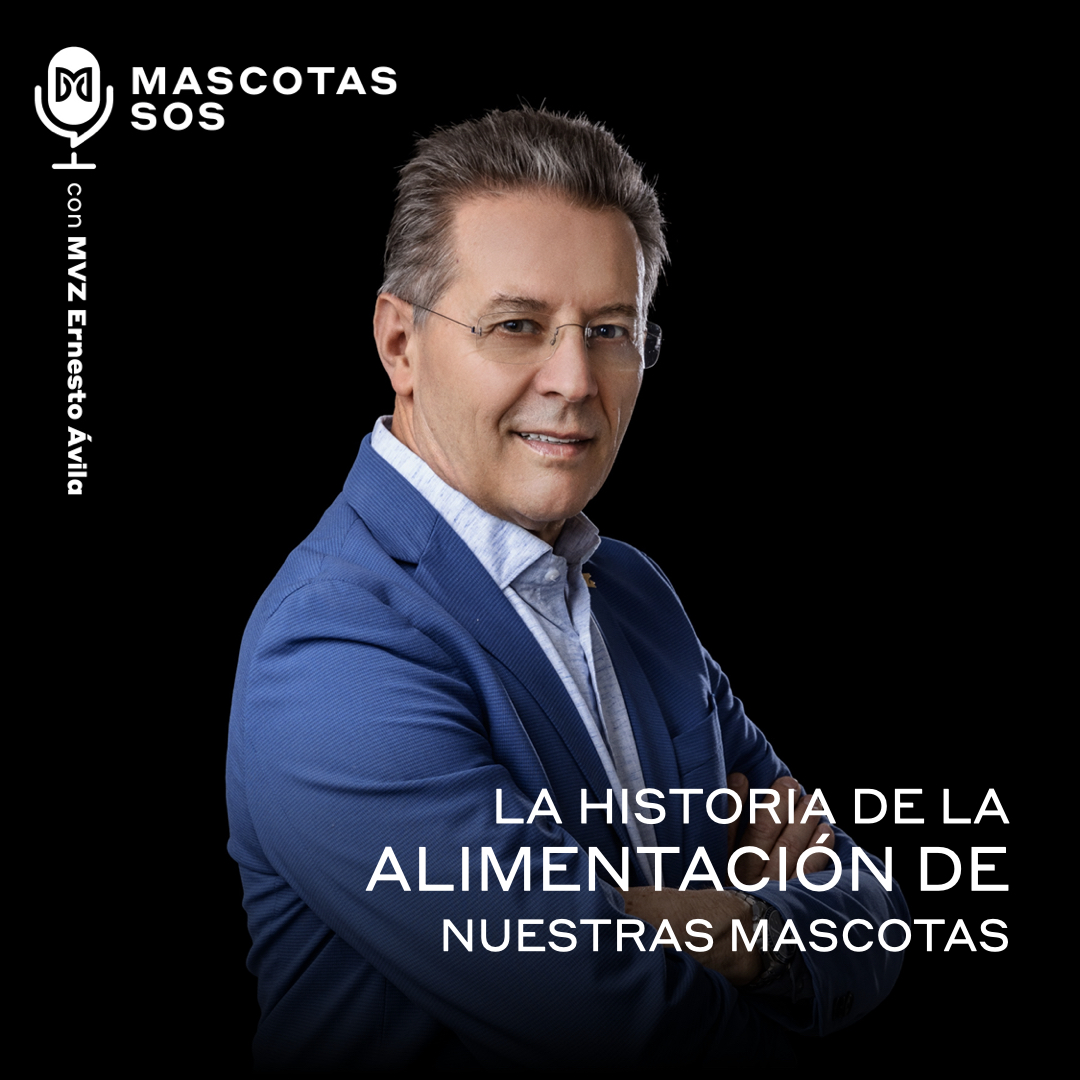 La historia de la alimentación de nuestras mascotas