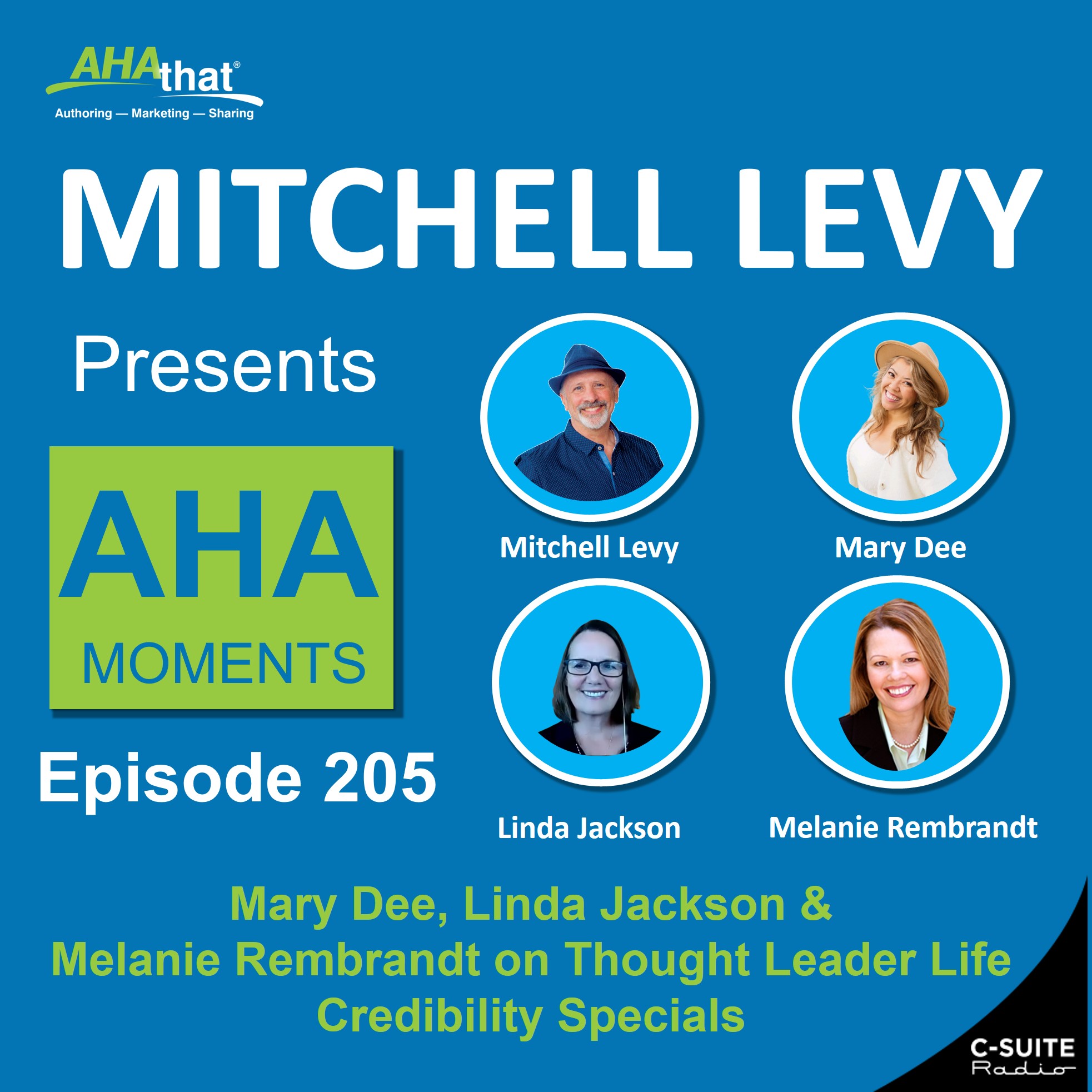 Mitchell Levy Presents AHA Moments