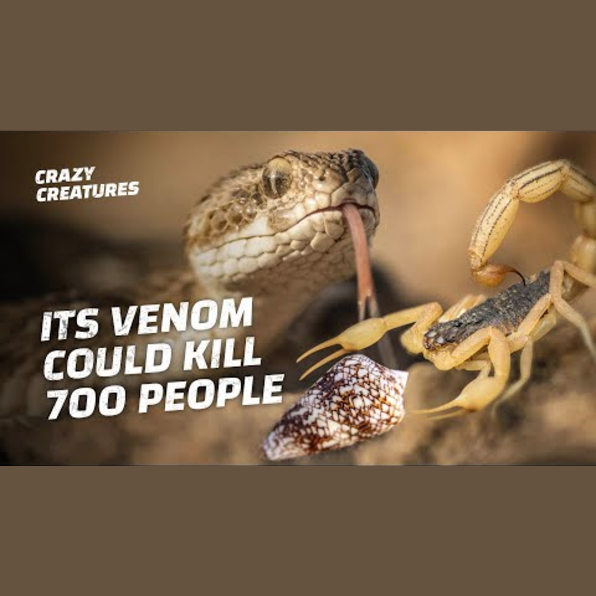 Exploring the World's Most Lethal Poisons and Venoms episode artwork