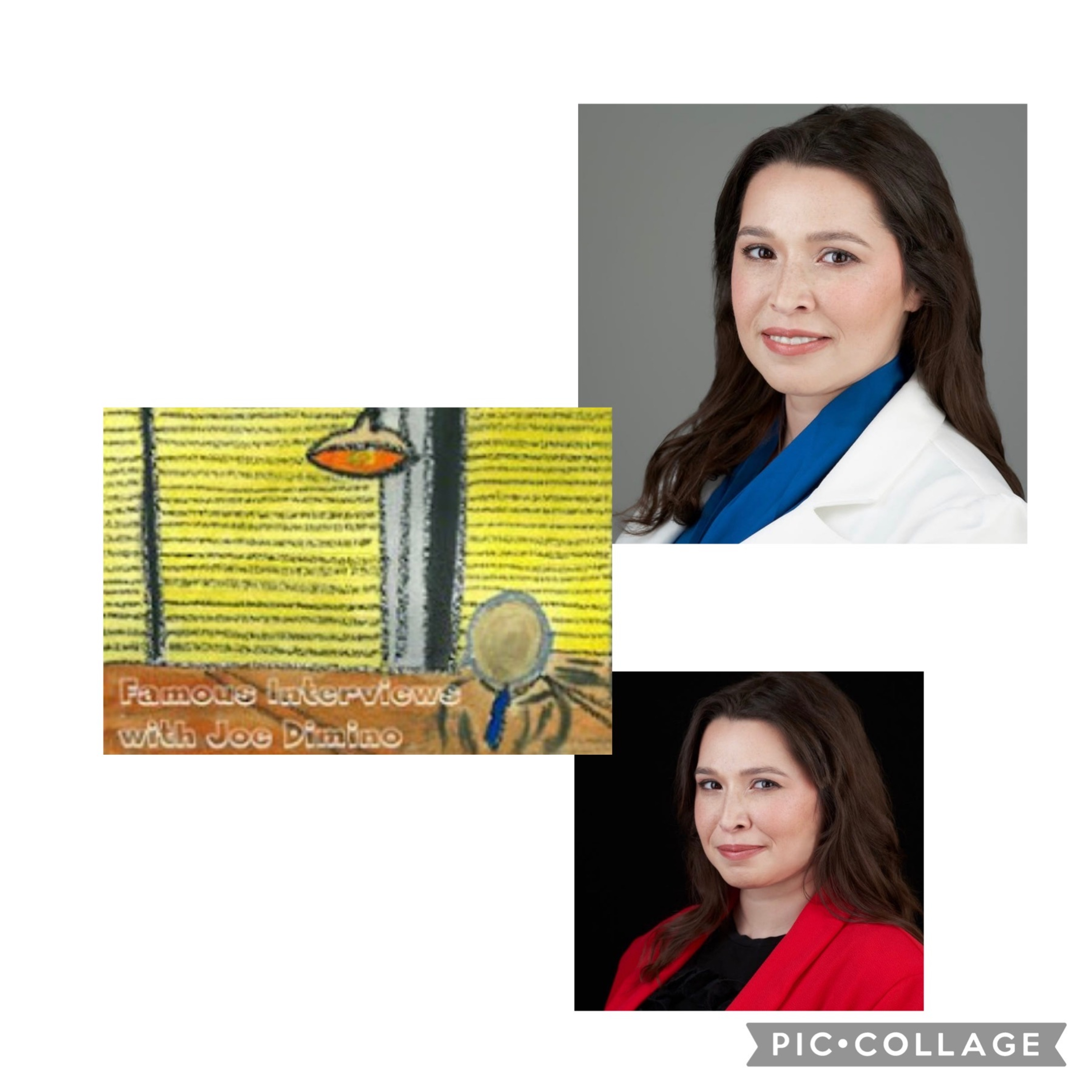 Human Rights Lawyer, Geopolitical Analyst & Journalist Irina Tsukerman episode artwork