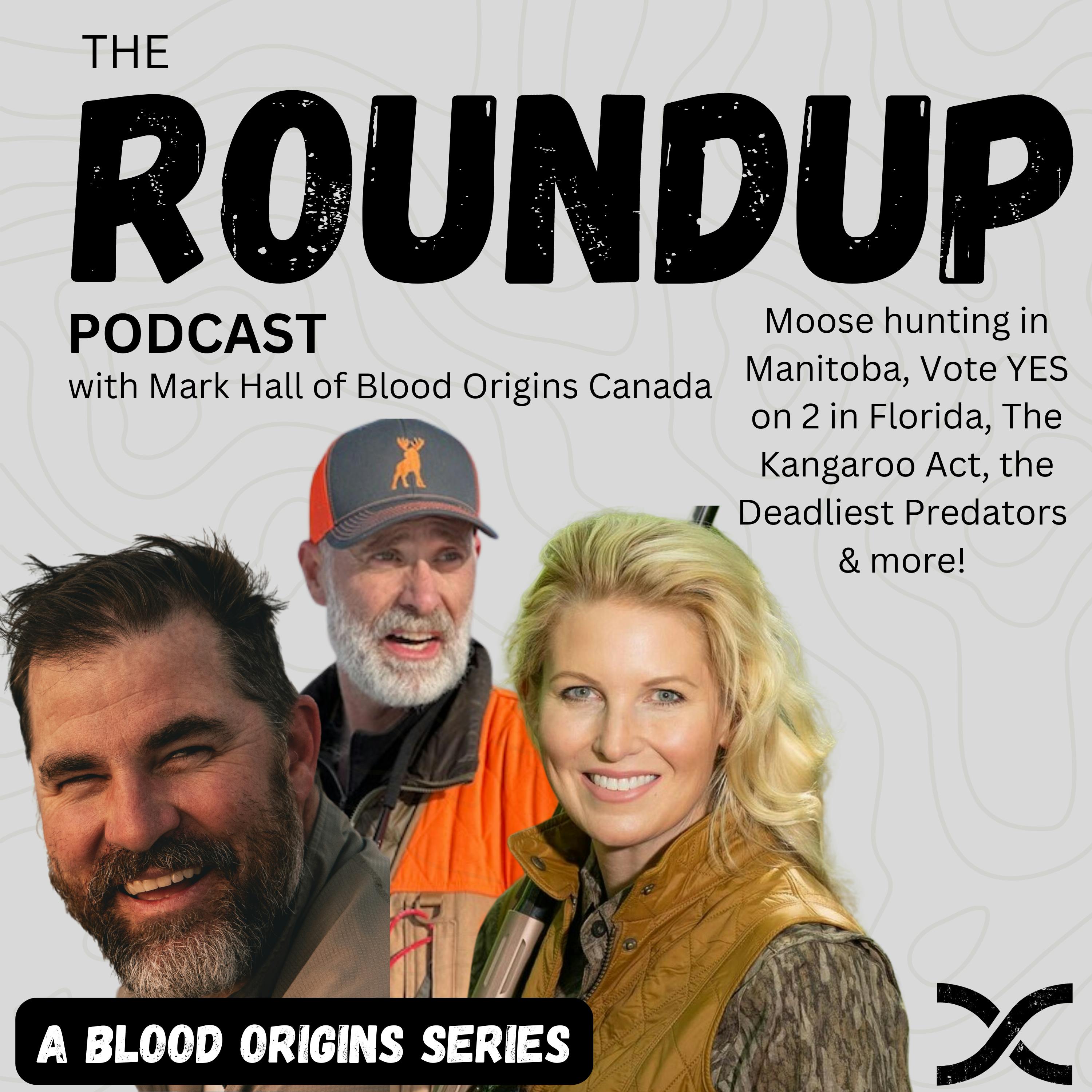 Roundup 134 || 11 year old’s hunting big horns, Manitoba hunting allocations and more!