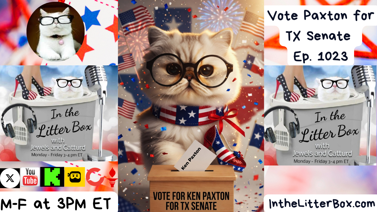 Vote Paxton for TX Senate | In the Litter Box w/ Jewels Jones & Catturd – Ep. 1023 5/12/2026
