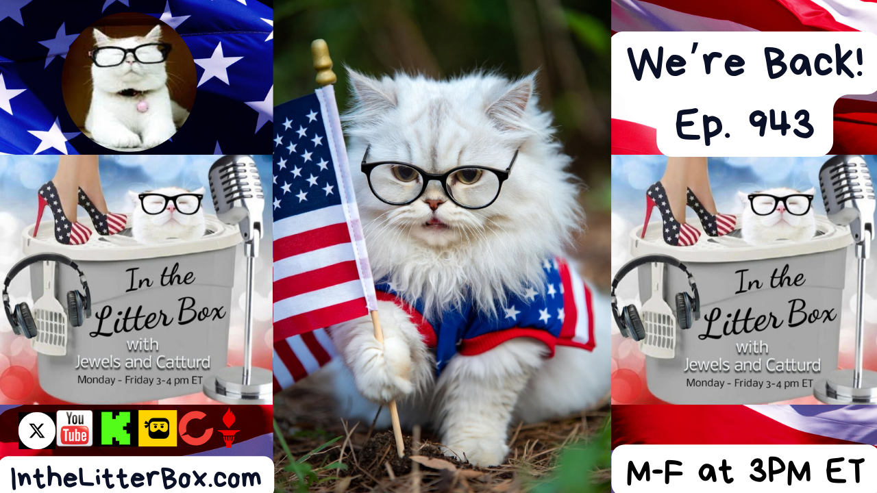 We're Back! | In the Litter Box w/ Jewels & Catturd – Ep. 943 – 1/6/2026
