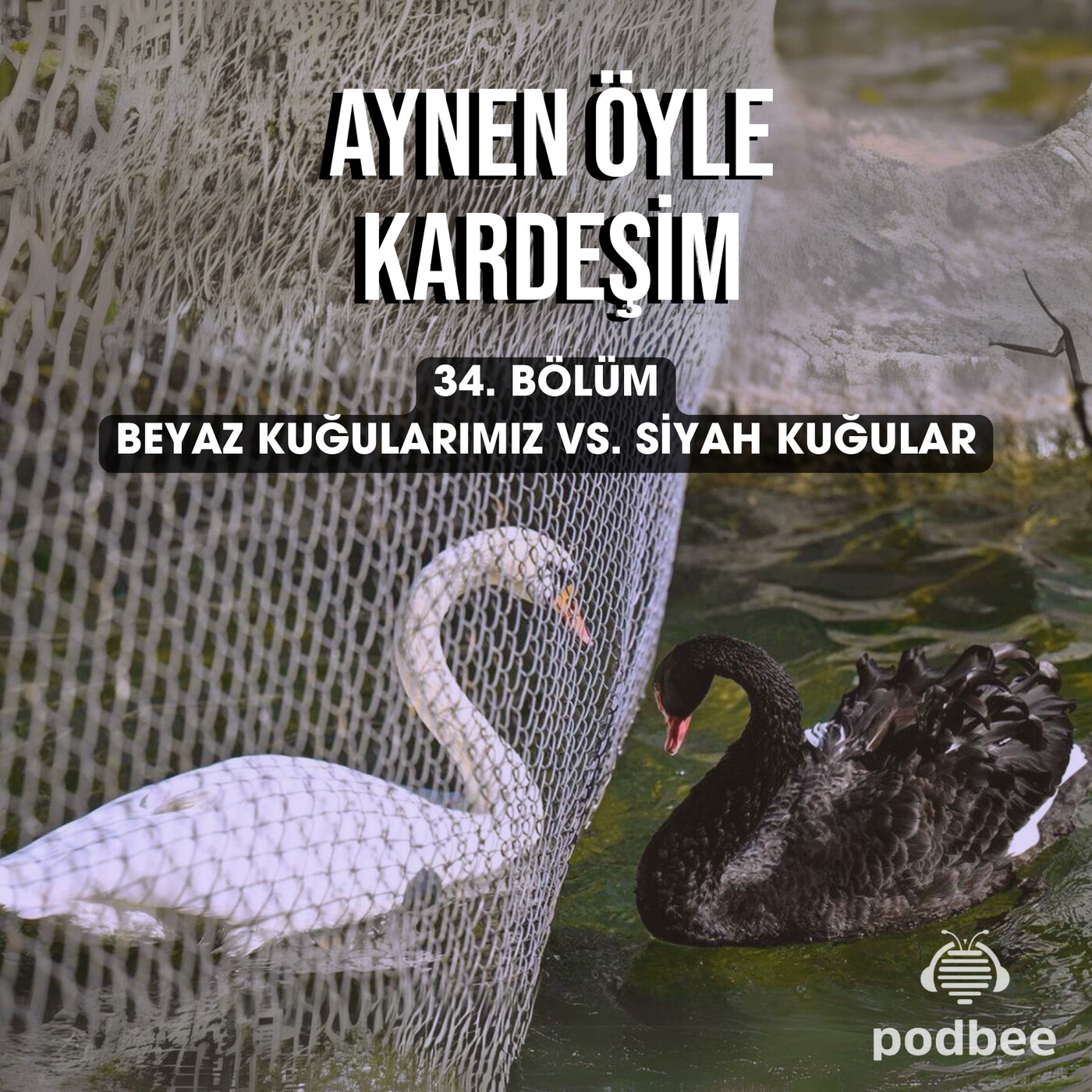 Beyaz Kuğularımız vs. Siyah Kuğular