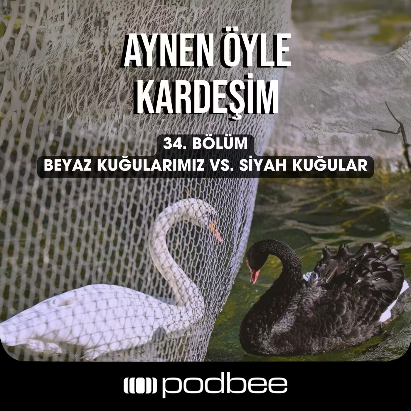 Beyaz Kuğularımız vs. Siyah Kuğular