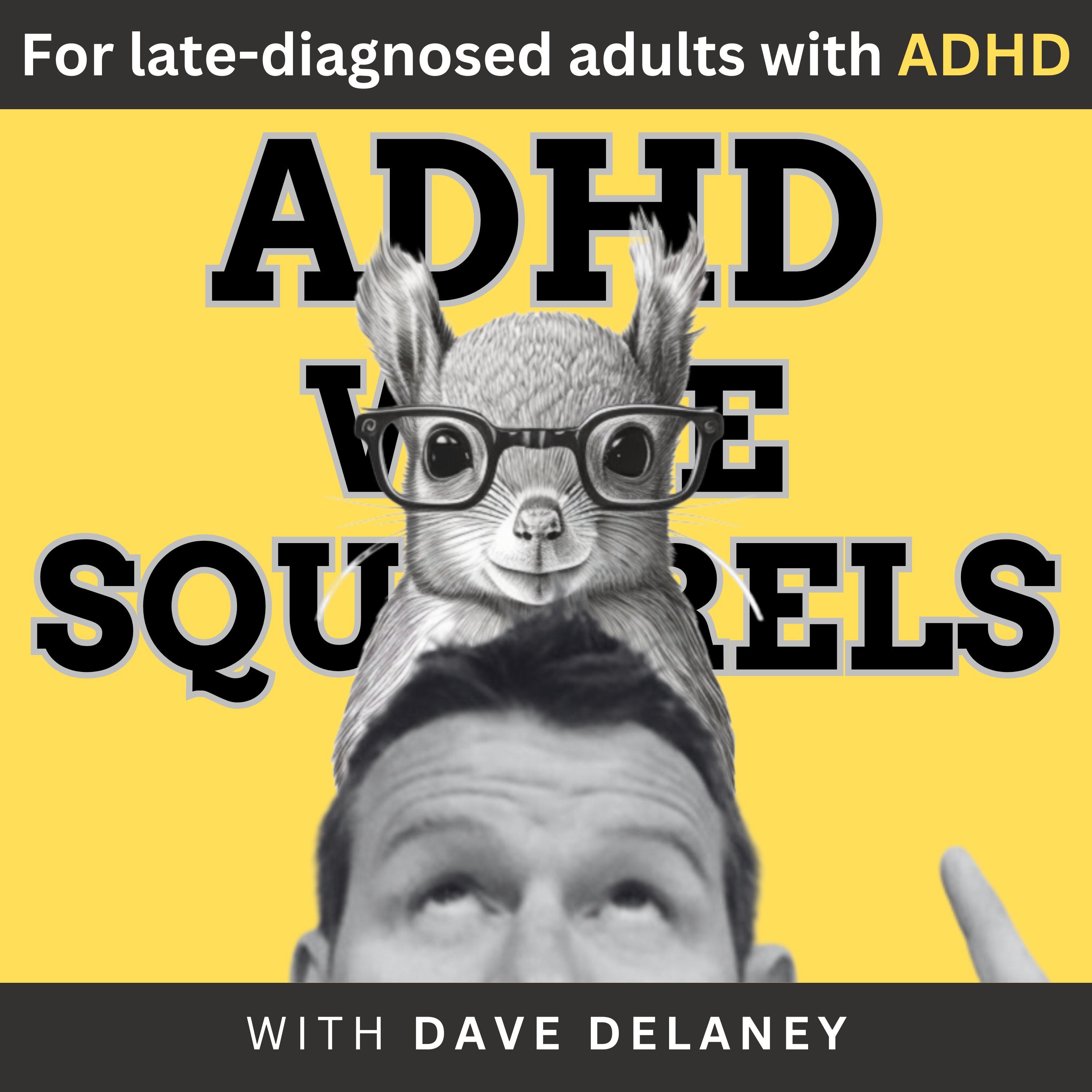 ADHD Wise Squirrels for late-diagnosed adults with ADHD.