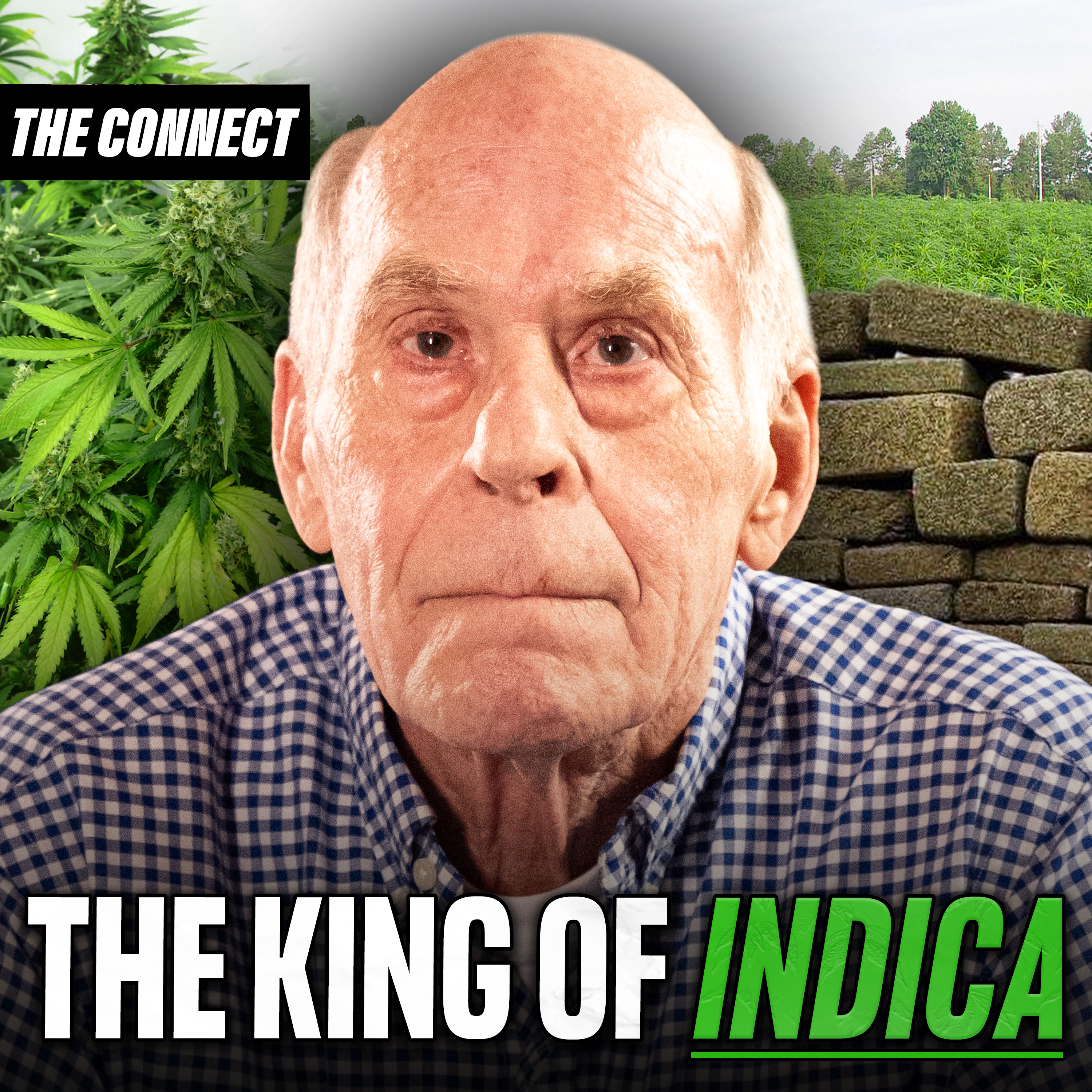 A Career Pot Smuggler Reveals A Lifetime Of Drug Trafficking & Being First To Grow Indica In Jamaica