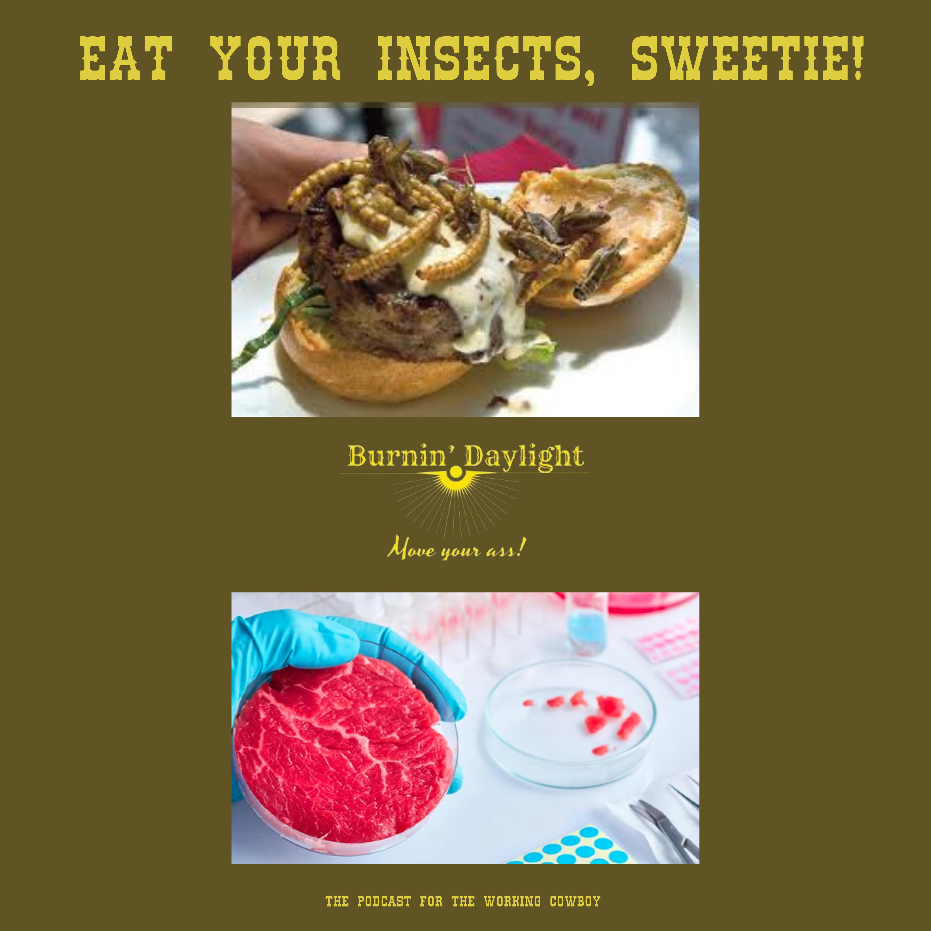 Eat Your Insects, Sweetie!