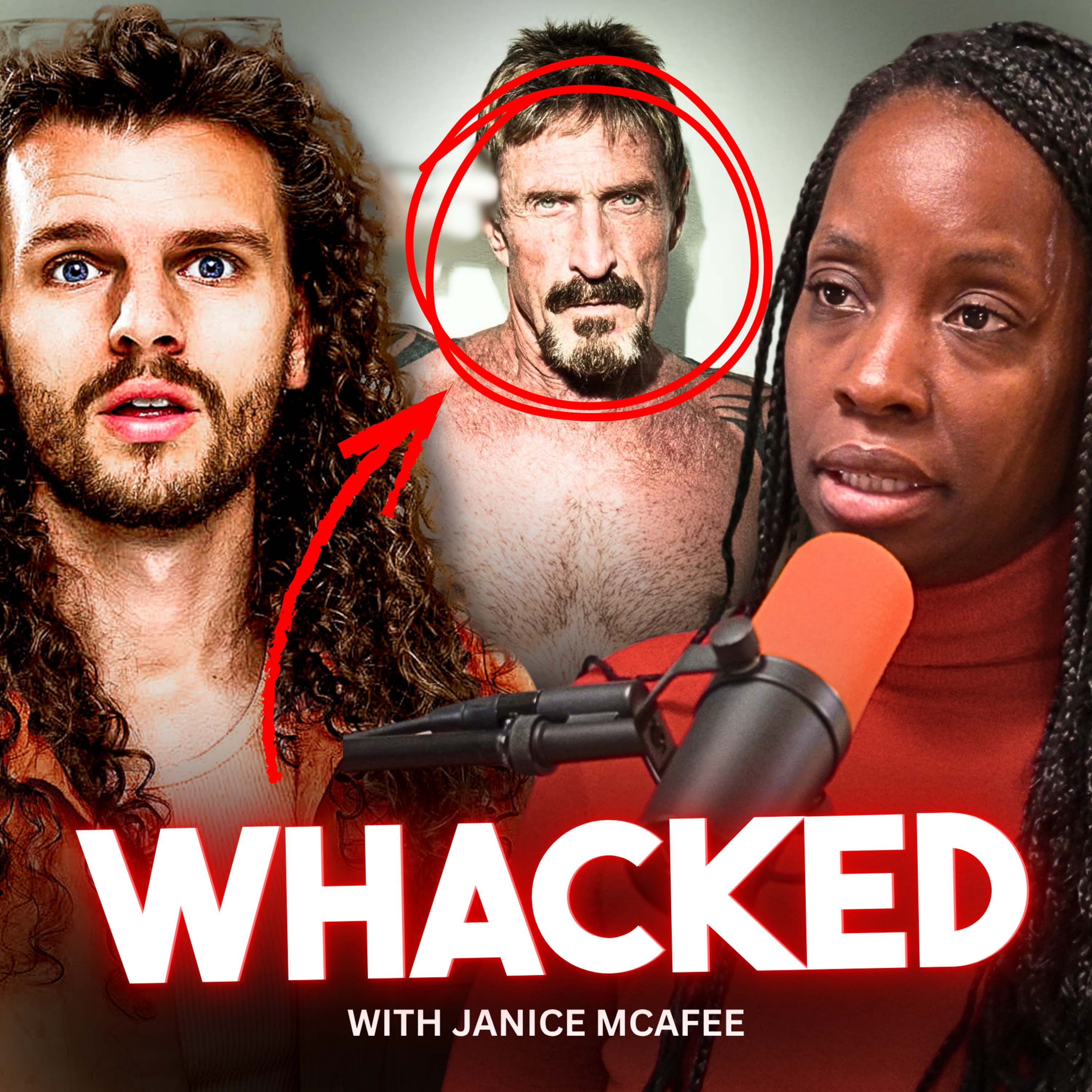 The TRUTH John McAfee Took To His Grave - Janice McAfee Speaks Out episode artwork