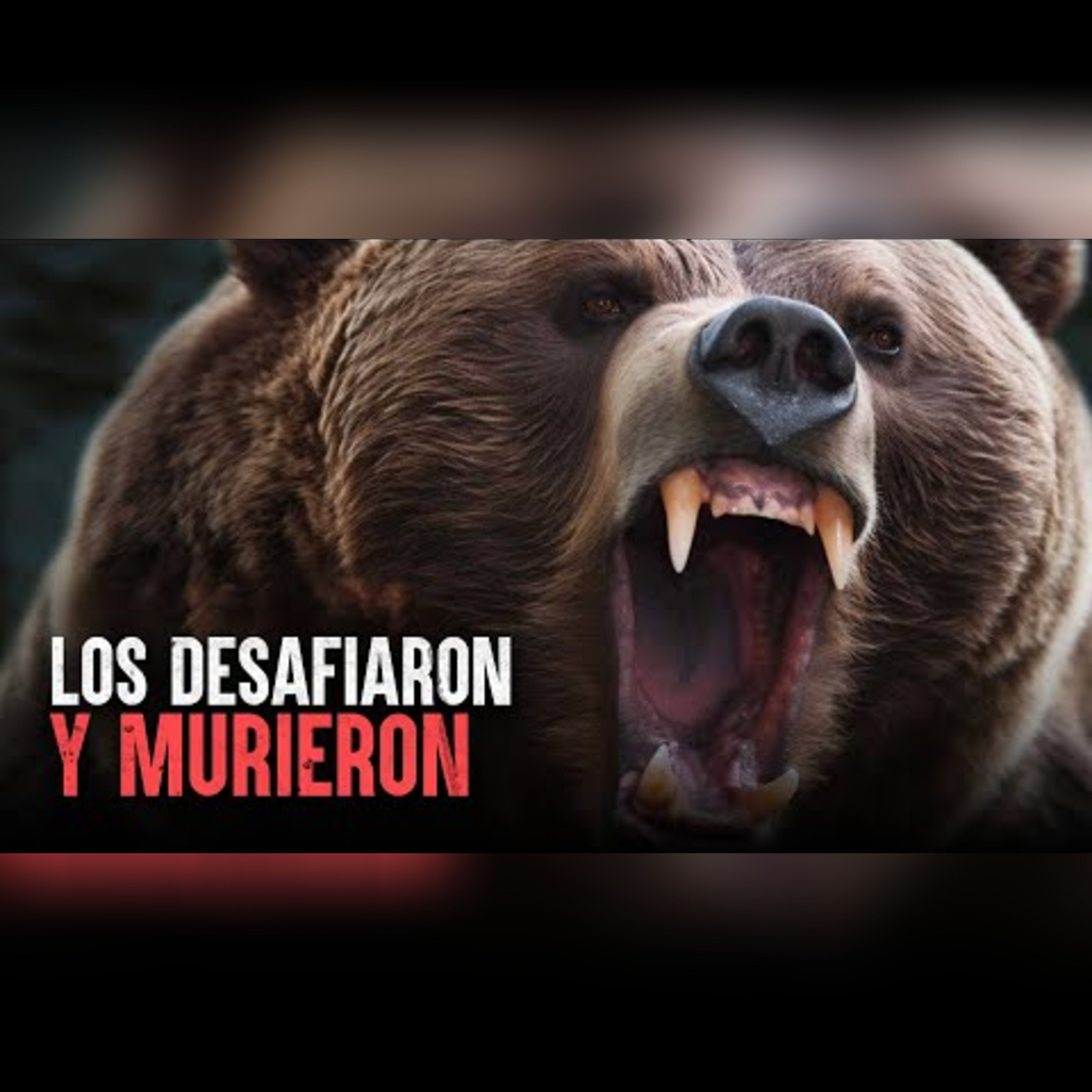 Bestias vs Humanos: Historias REALES de los que NO sobrevivieron episode artwork