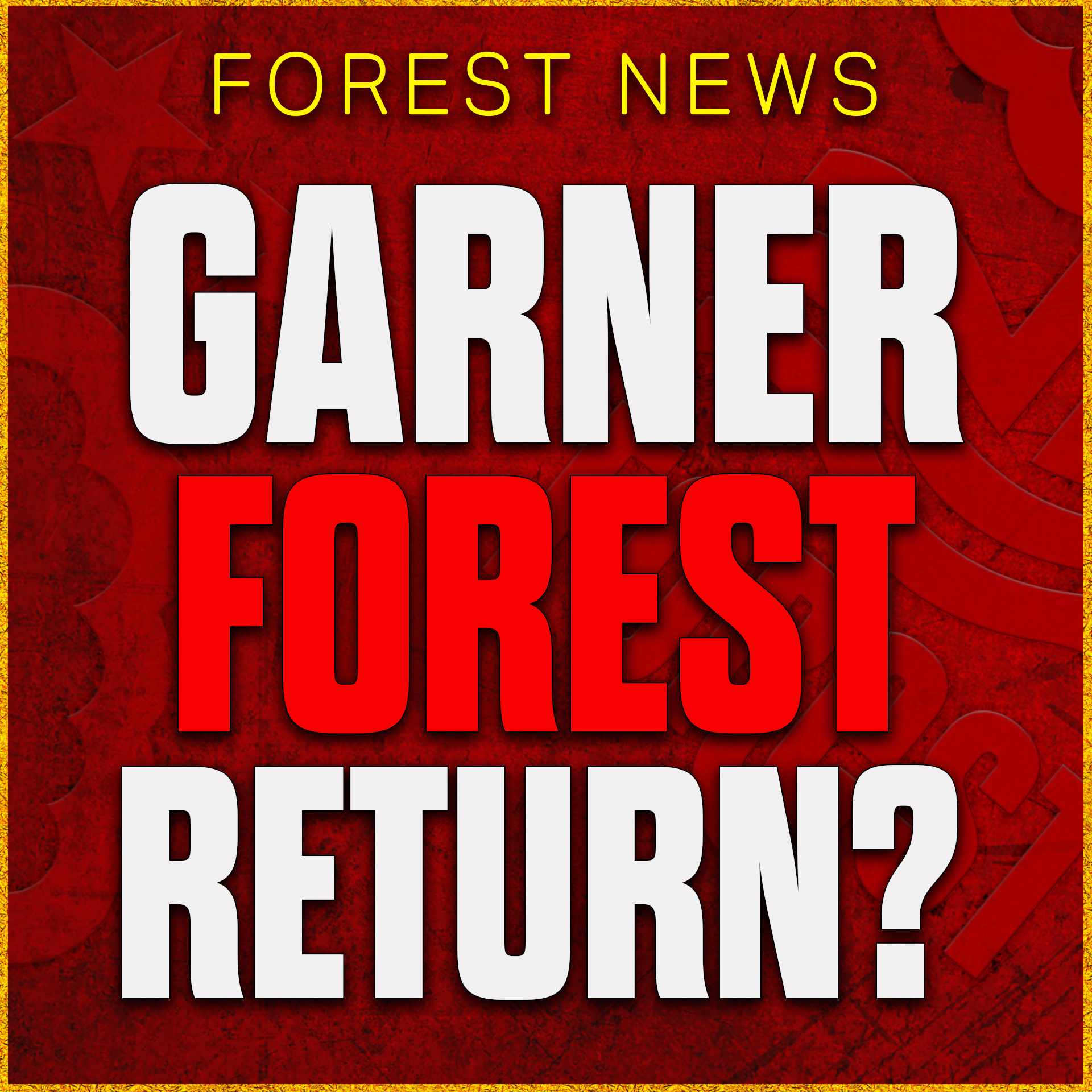 James Garner Forest Return? Ndoye & Williams International Stars Shine! Nottingham Forest News