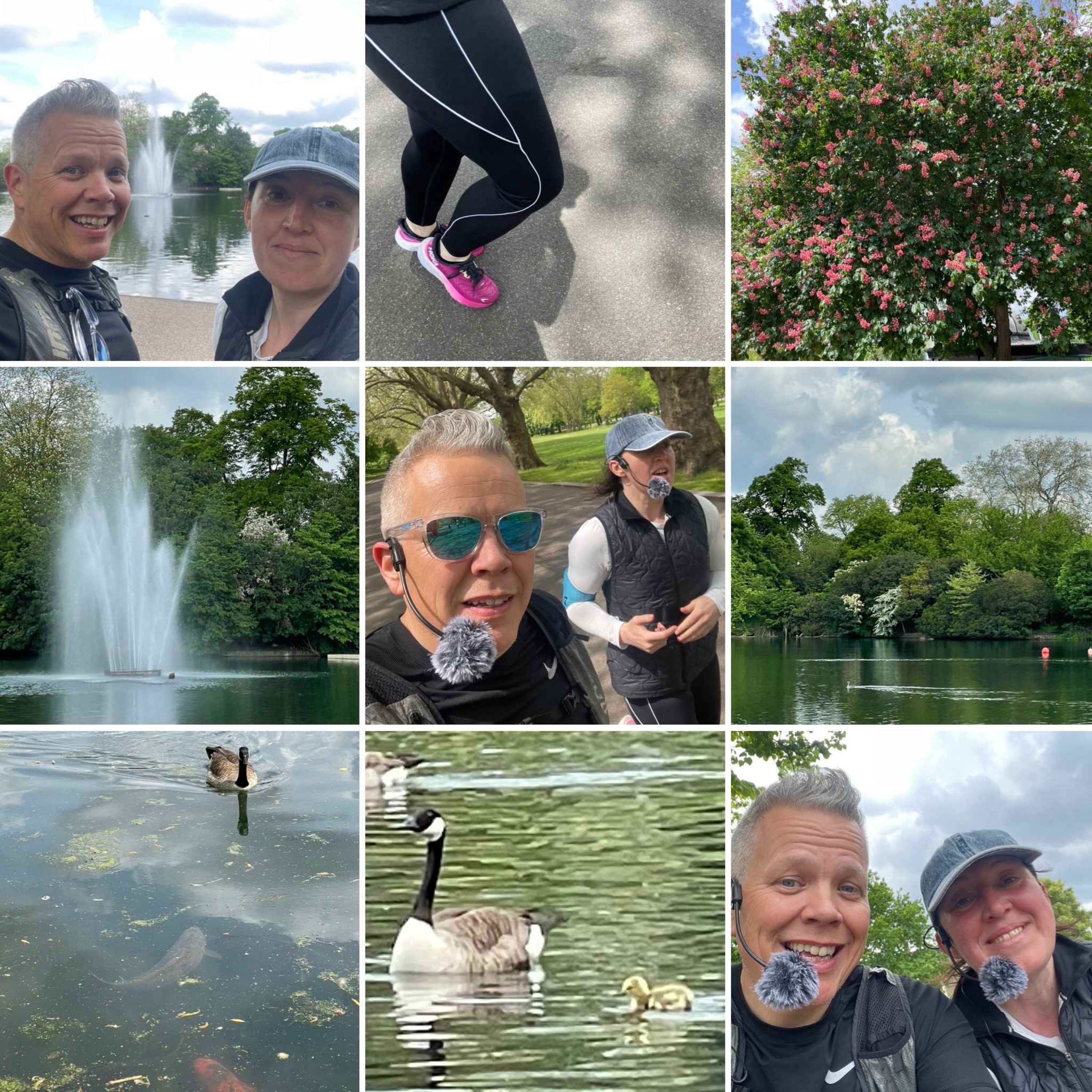 Unofficial Eleanor Tiernan