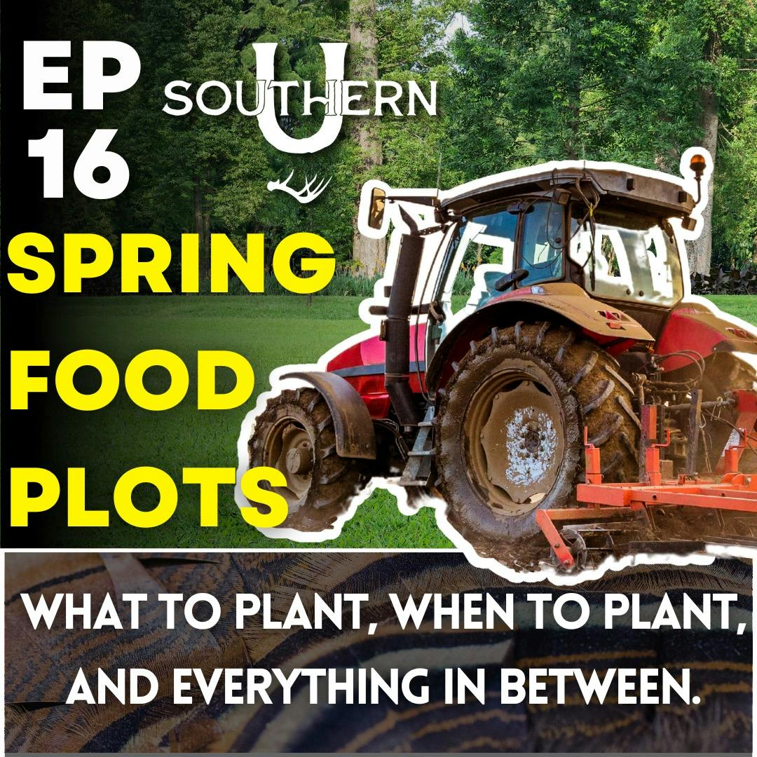 Spring Food Plots Spring Food Plots