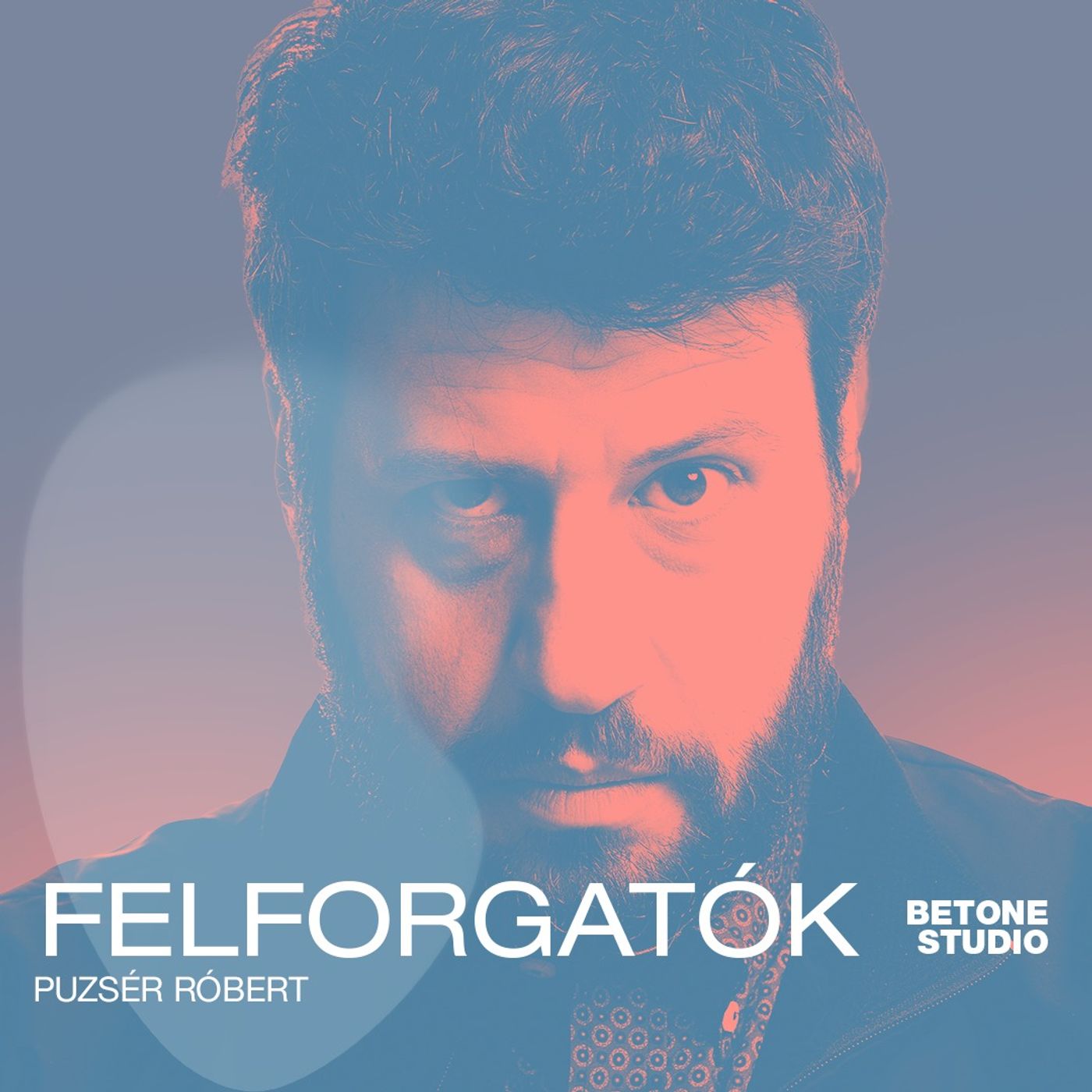 Puzsér Róbert: az értelmiség hangja a médiatérben elveszett