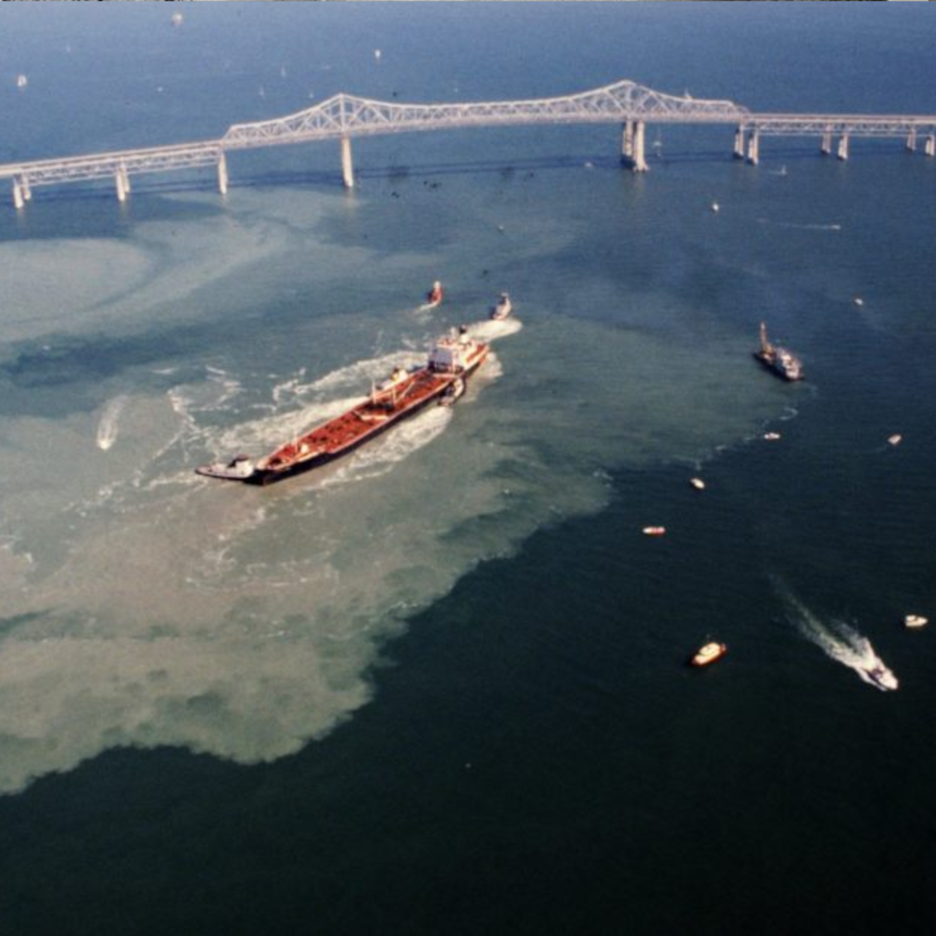 Ship's Log: The USCGC Blackthorn