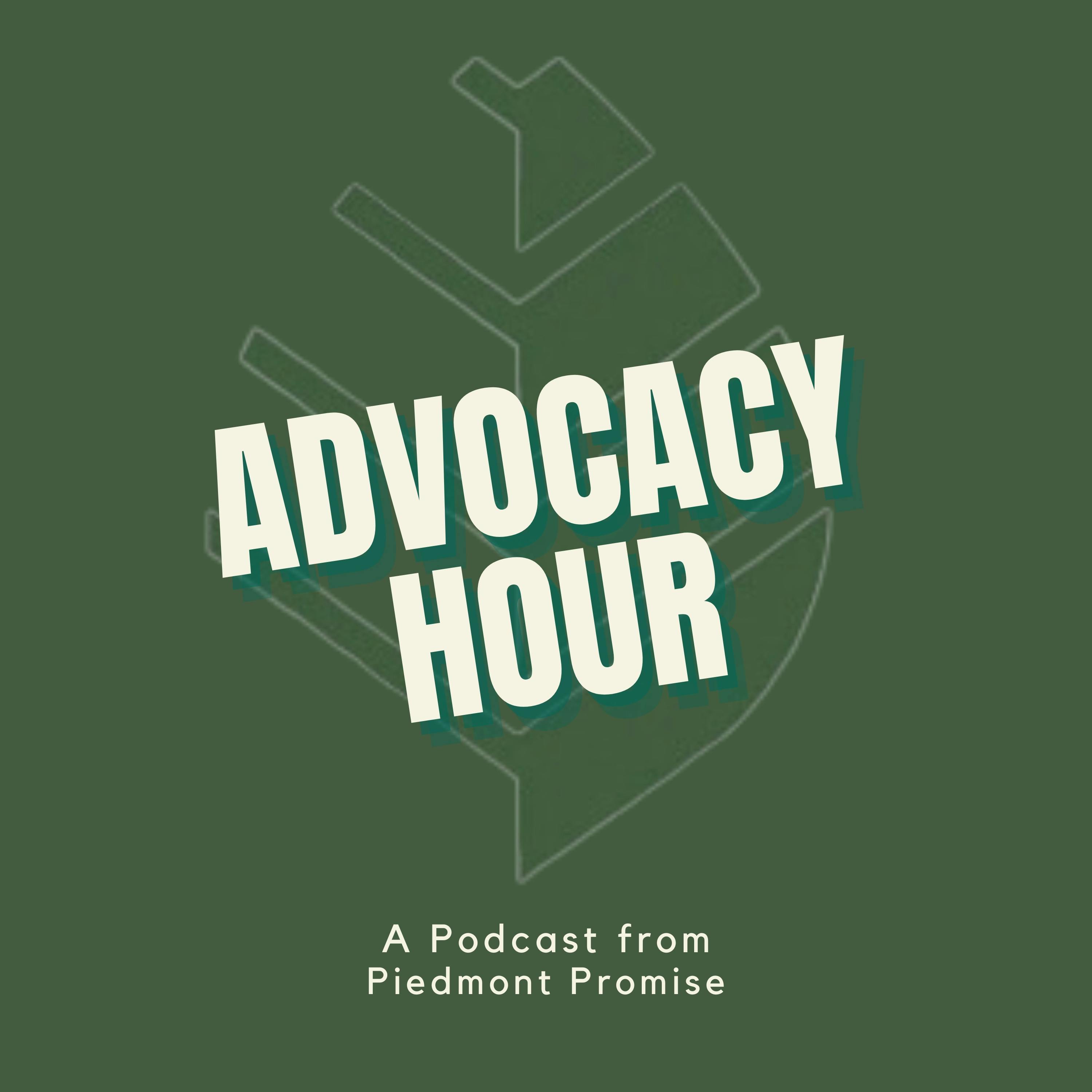 The branch of government you've never heard of: A conversation with Grady O'Brien of NC Conservation Network about state Boards and Commissions