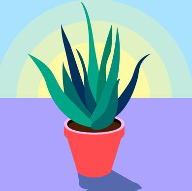 Perché New York ha la qualità dell'aria peggiore al mondo?