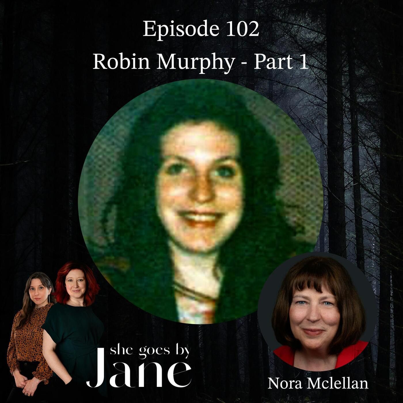 Unsolved: The 1995 Disappearance of Robin Murphy | Part 1 with guest reader Nora McLellan