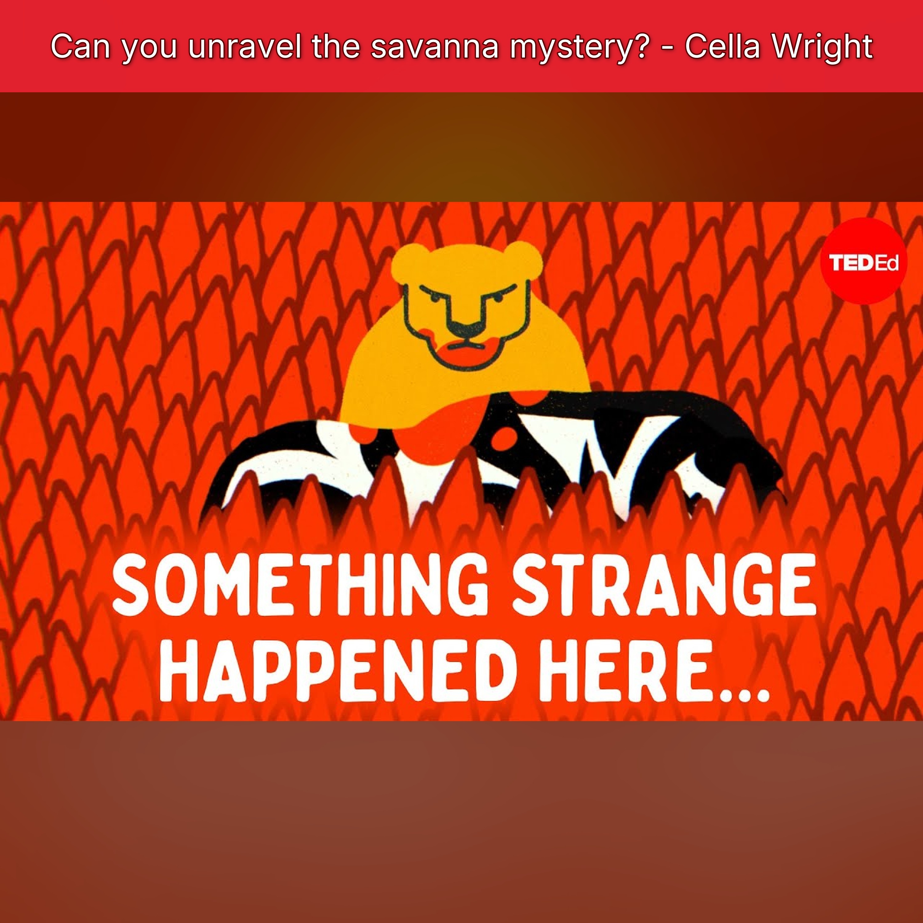 Can you unravel the savanna mystery? - Cella Wright episode artwork
