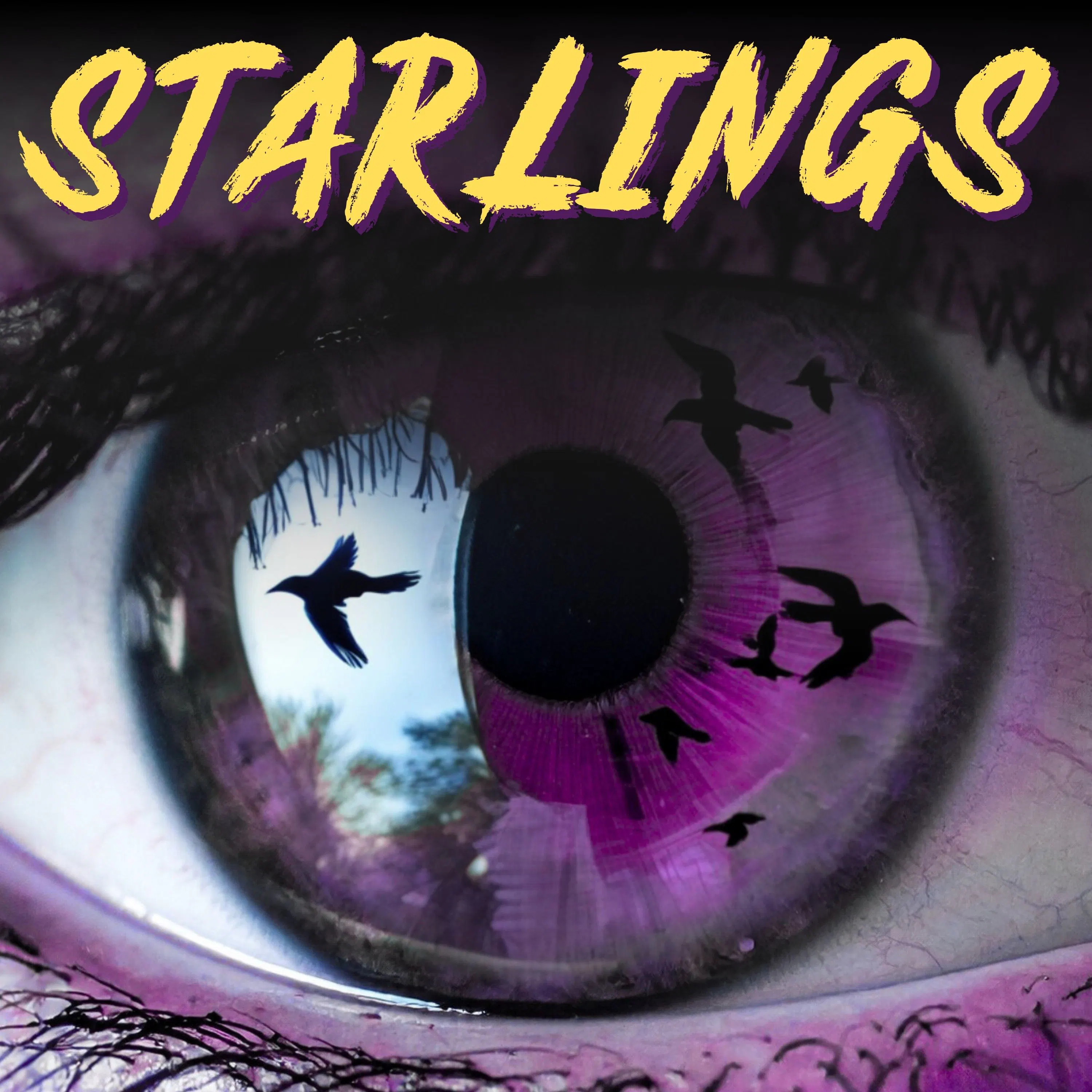 Starlings episode artwork