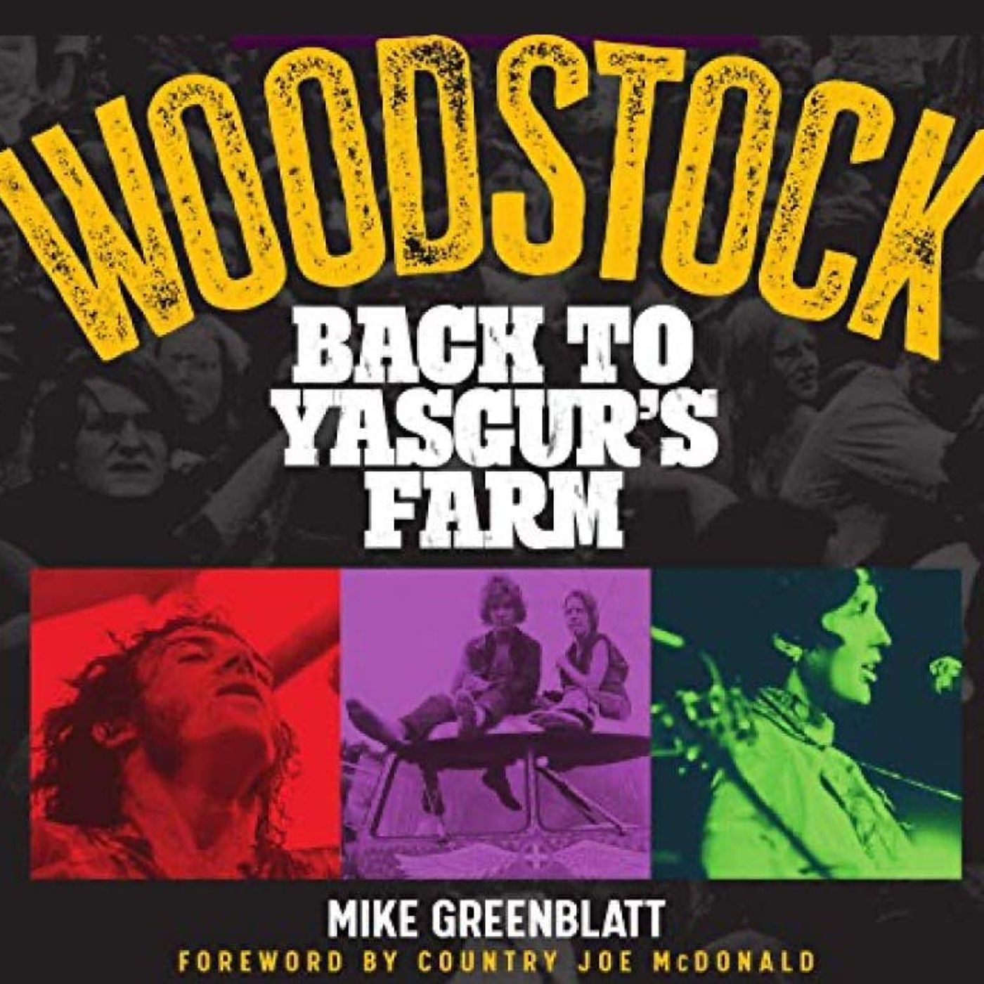 Woodstock artists' best albums