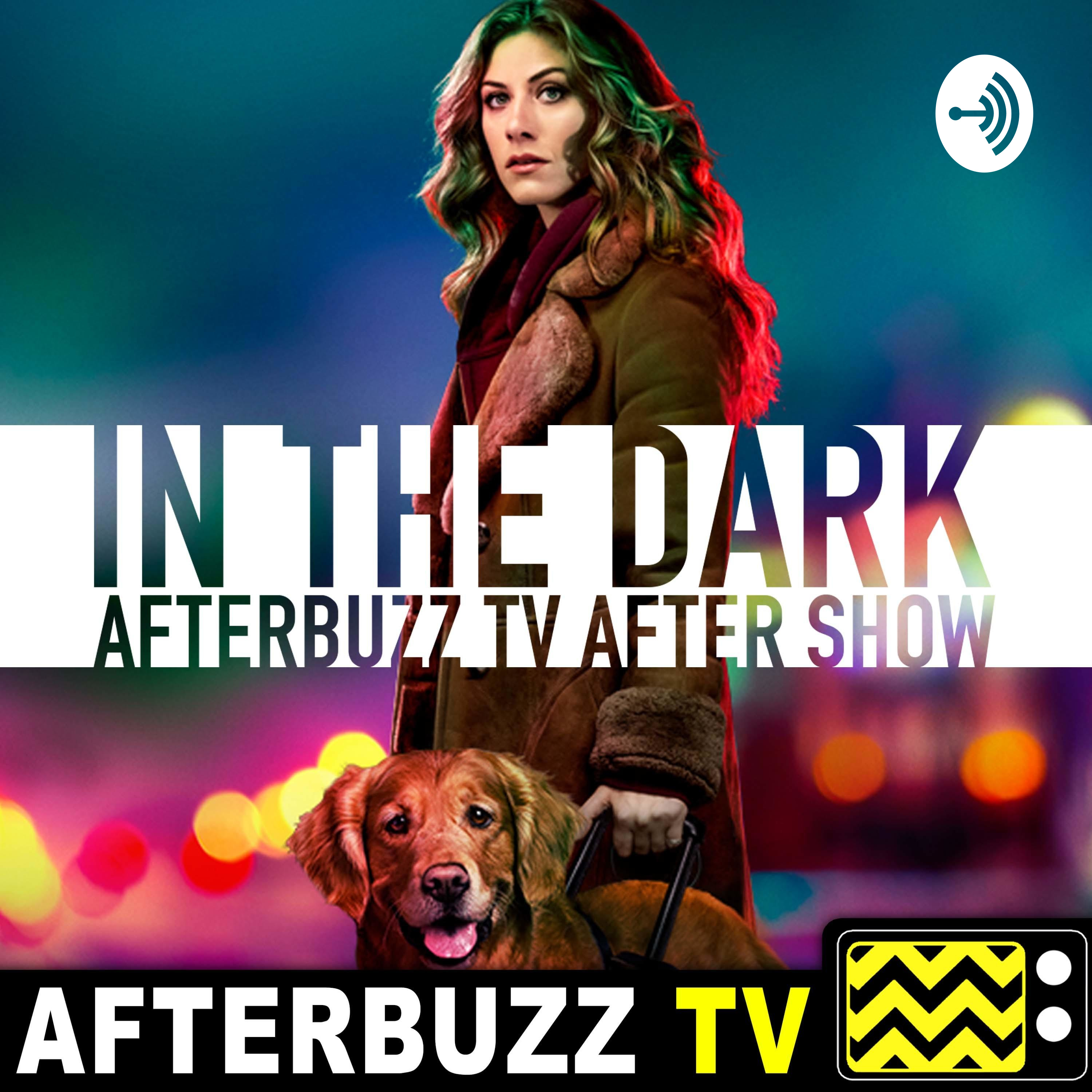 The In The Dark Podcast