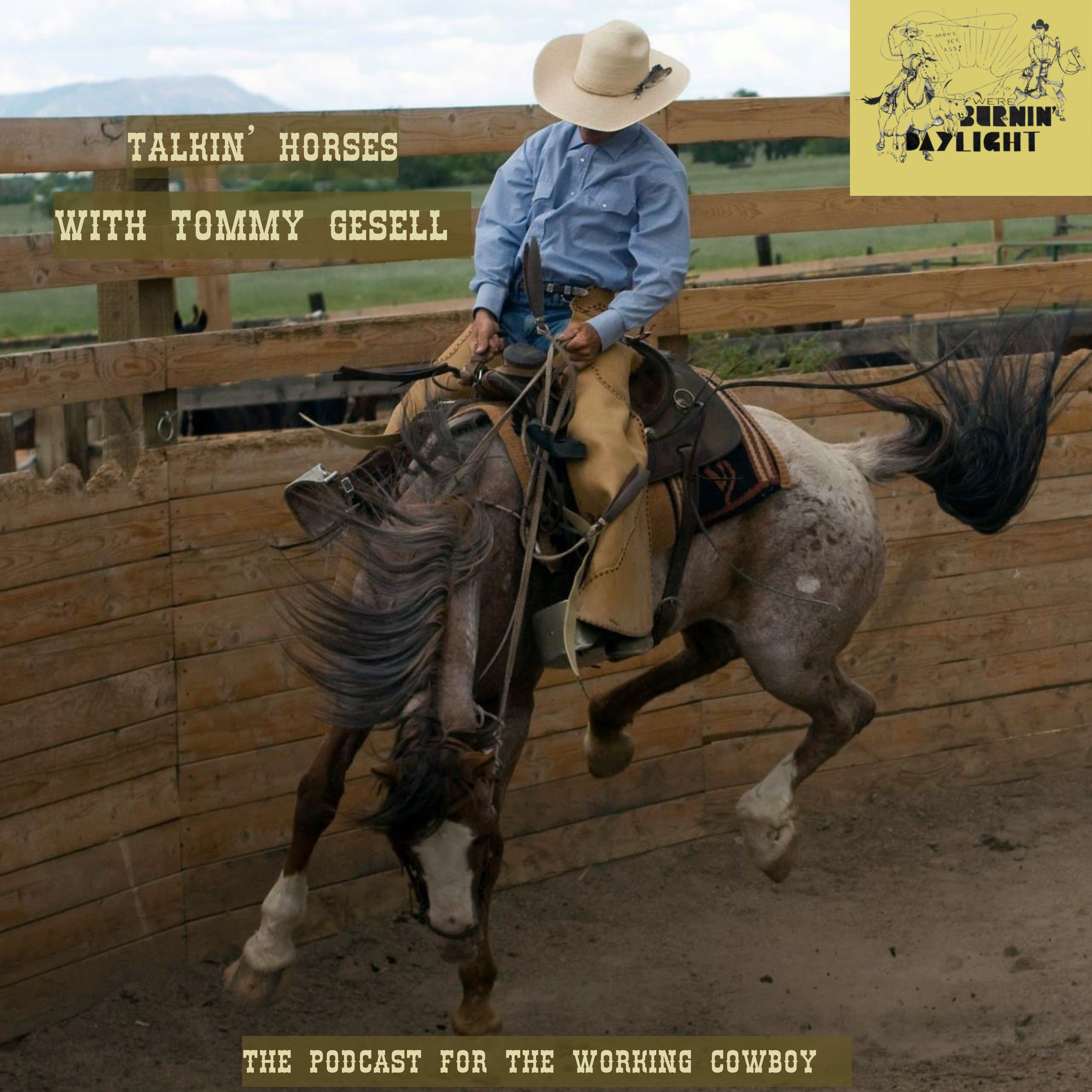 Talkin’ Horses with Tommy Gesell