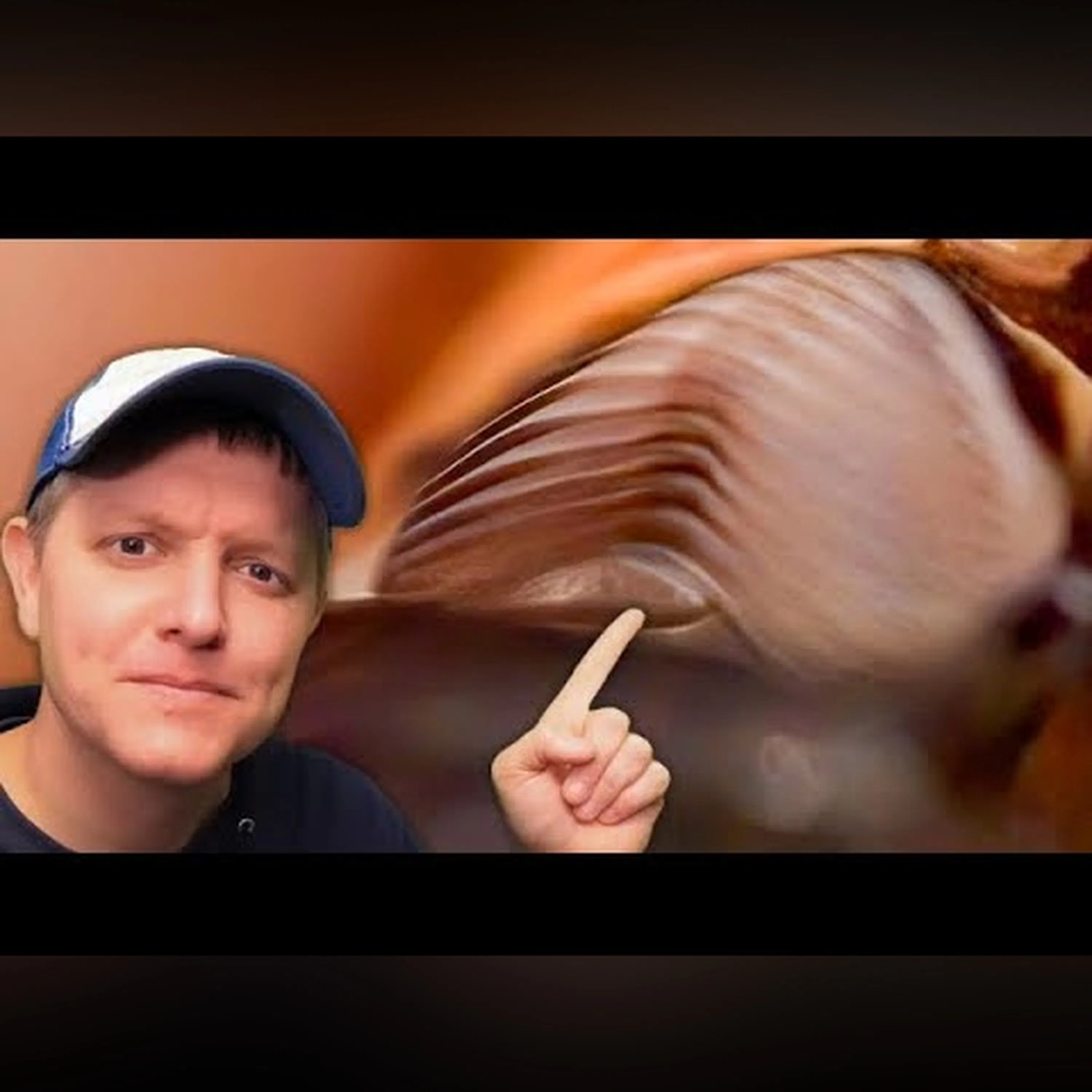How Do Cicadas Make Noise? (In Slow Motion) - Smarter Every Day 299