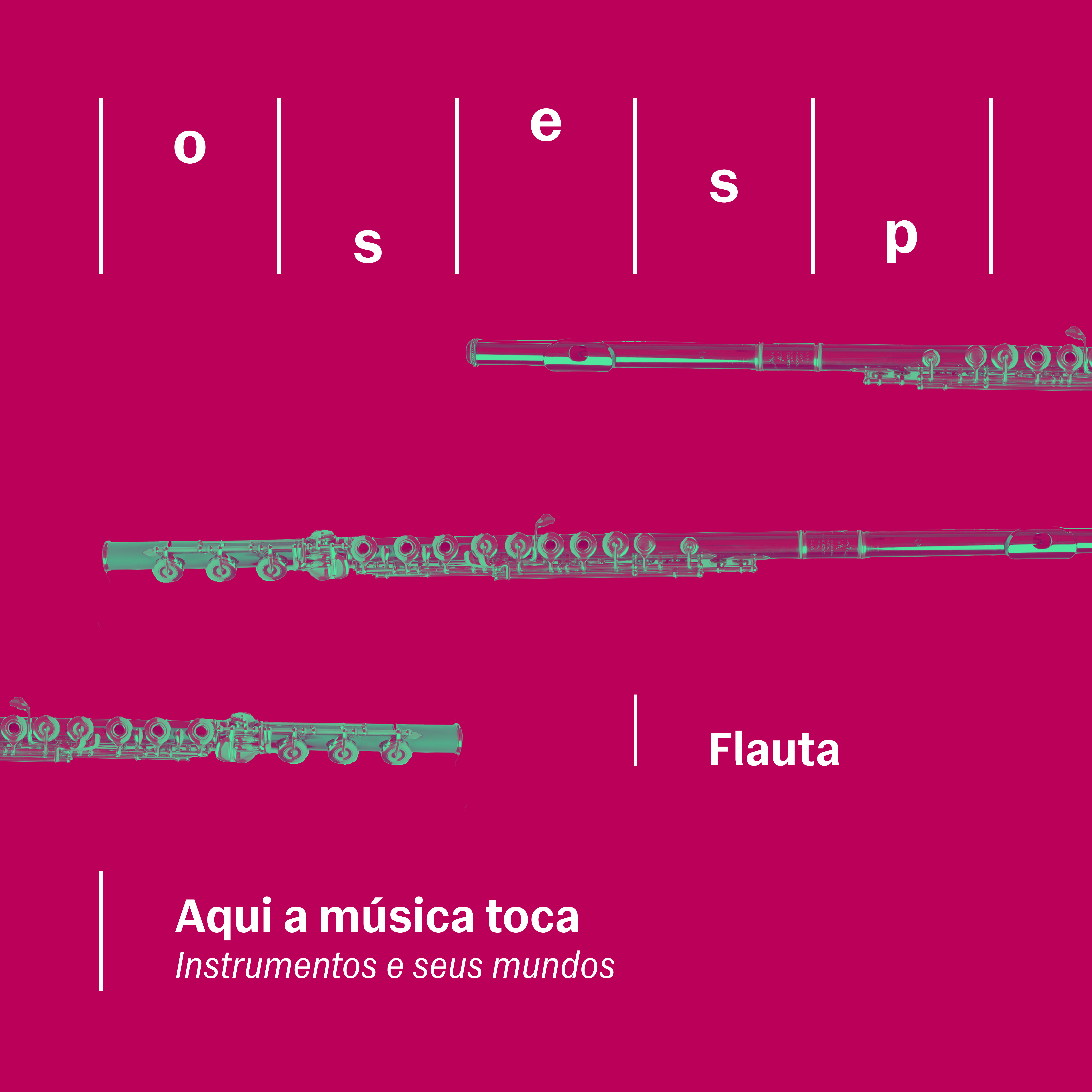 Instrumentos e seus mundos | Flauta