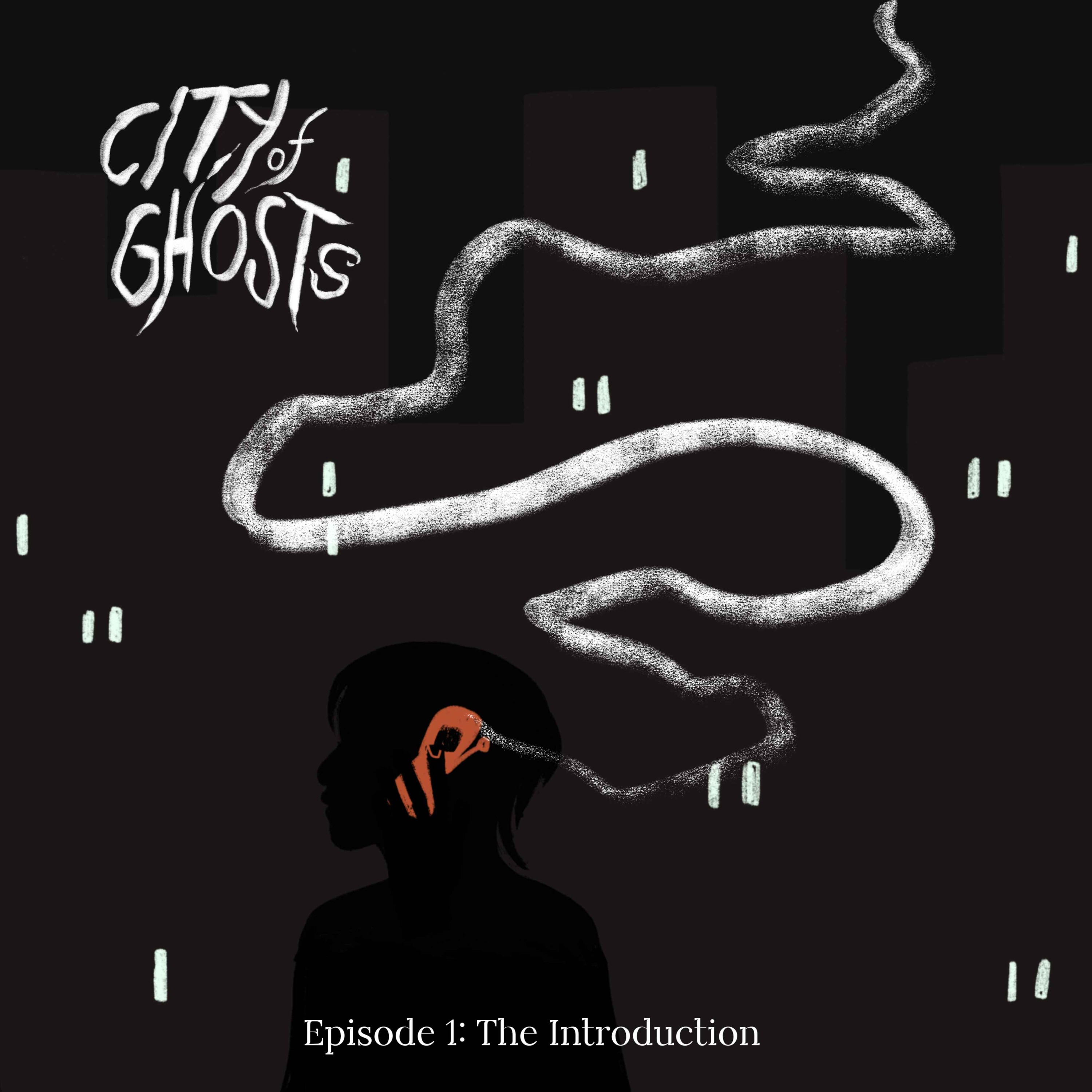 Episode 1: The Introduction