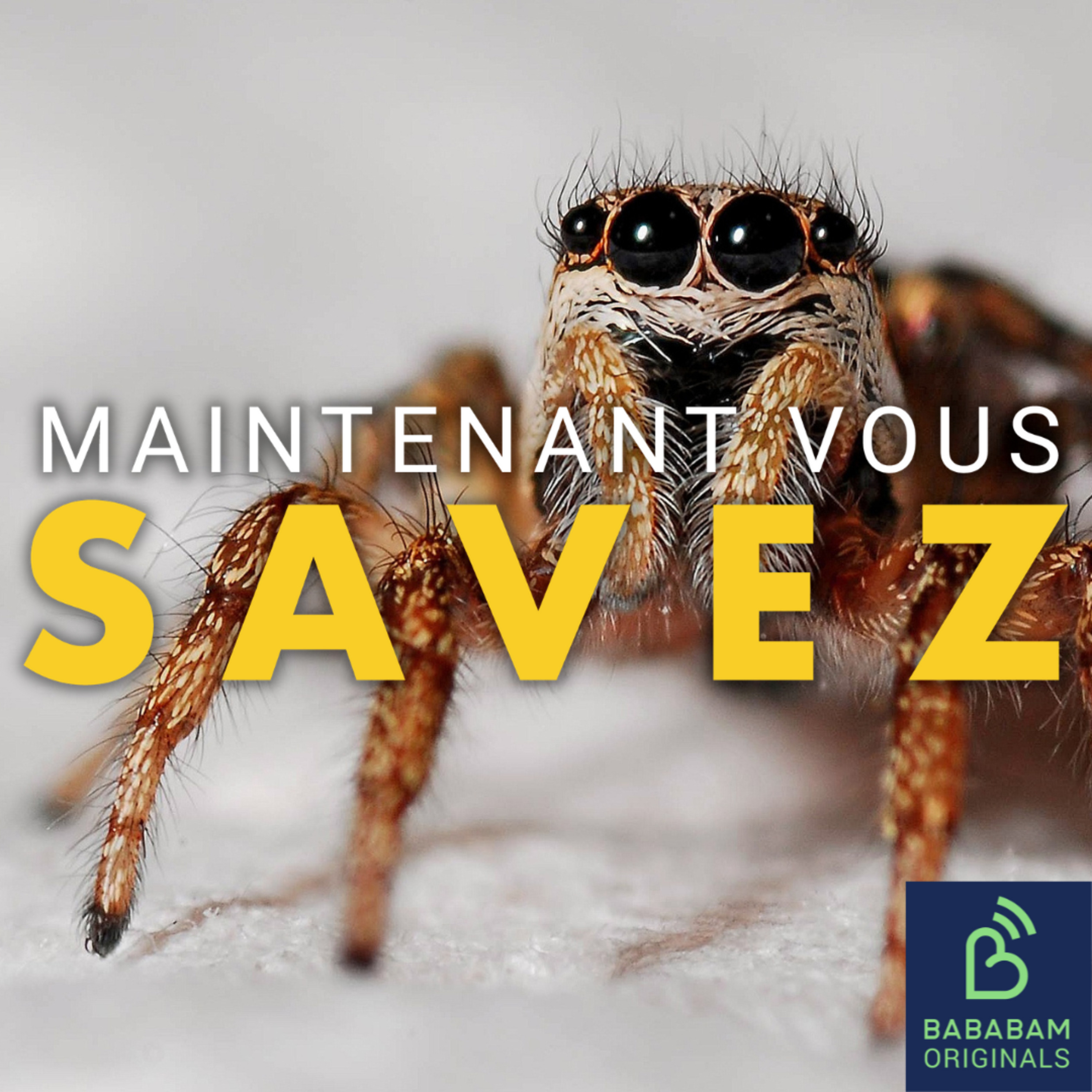 Le venin d’araignée peut-il régler les problèmes d'érection ? 