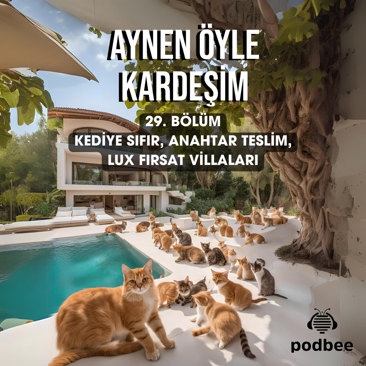 Kediye Sıfır, Anahtar Teslim, Lux Fırsat Villaları