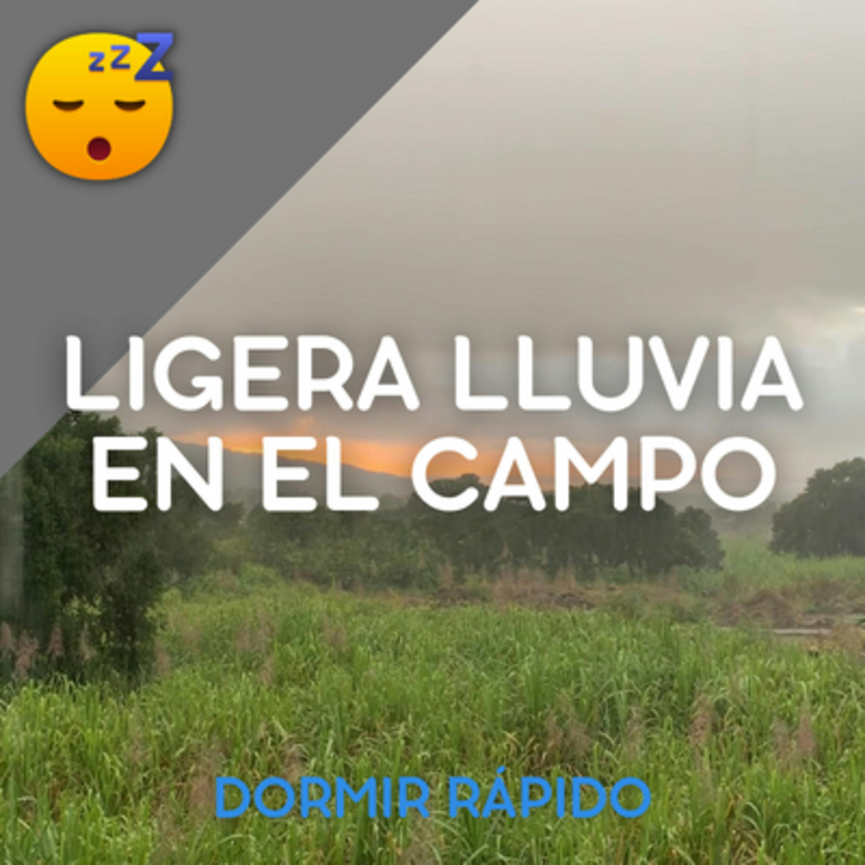 ️ MÚSICA con una LIGERA LLUVIA en el Campo episode artwork
