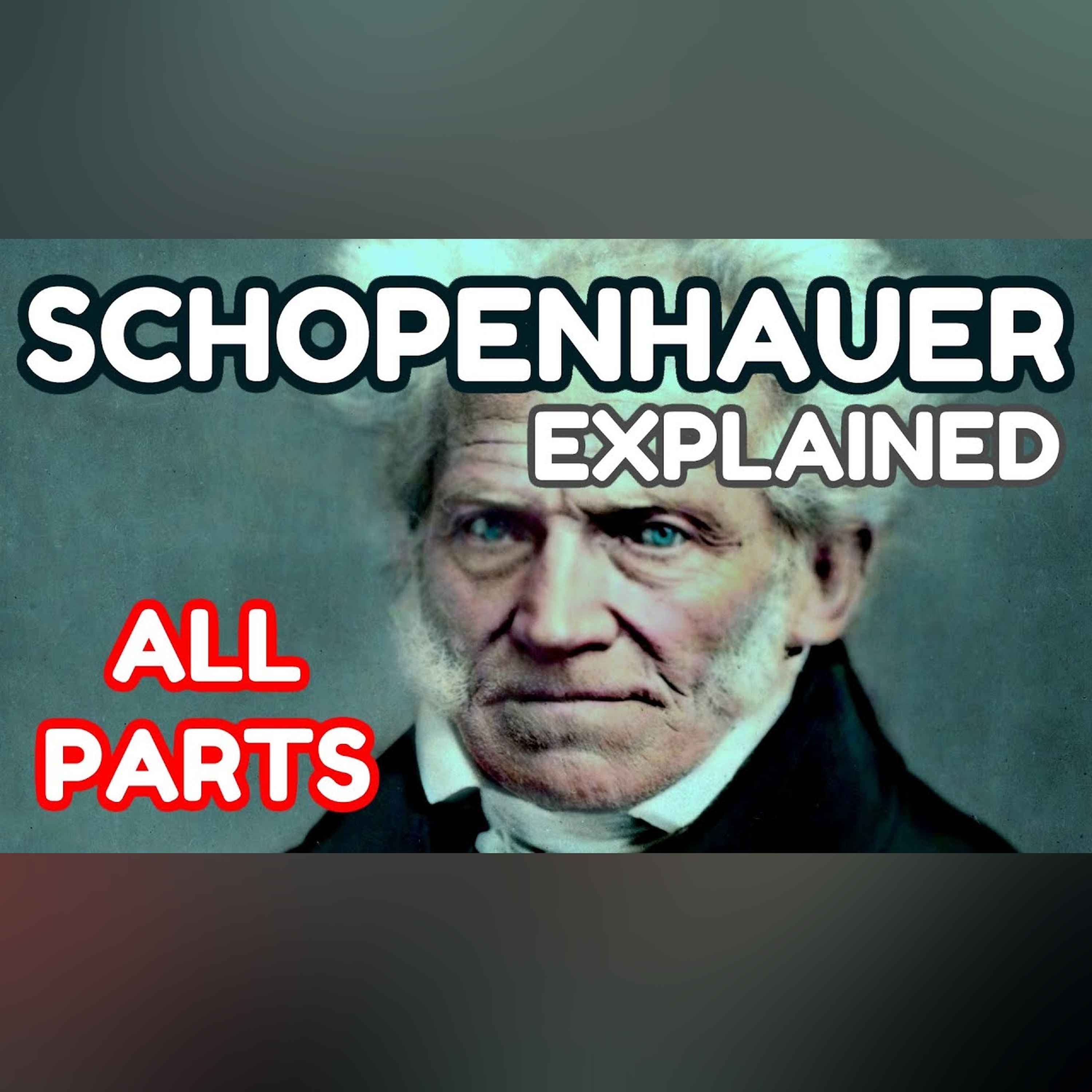 SCHOPENHAUER Explained: The World as Will and Representation (ALL PARTS)